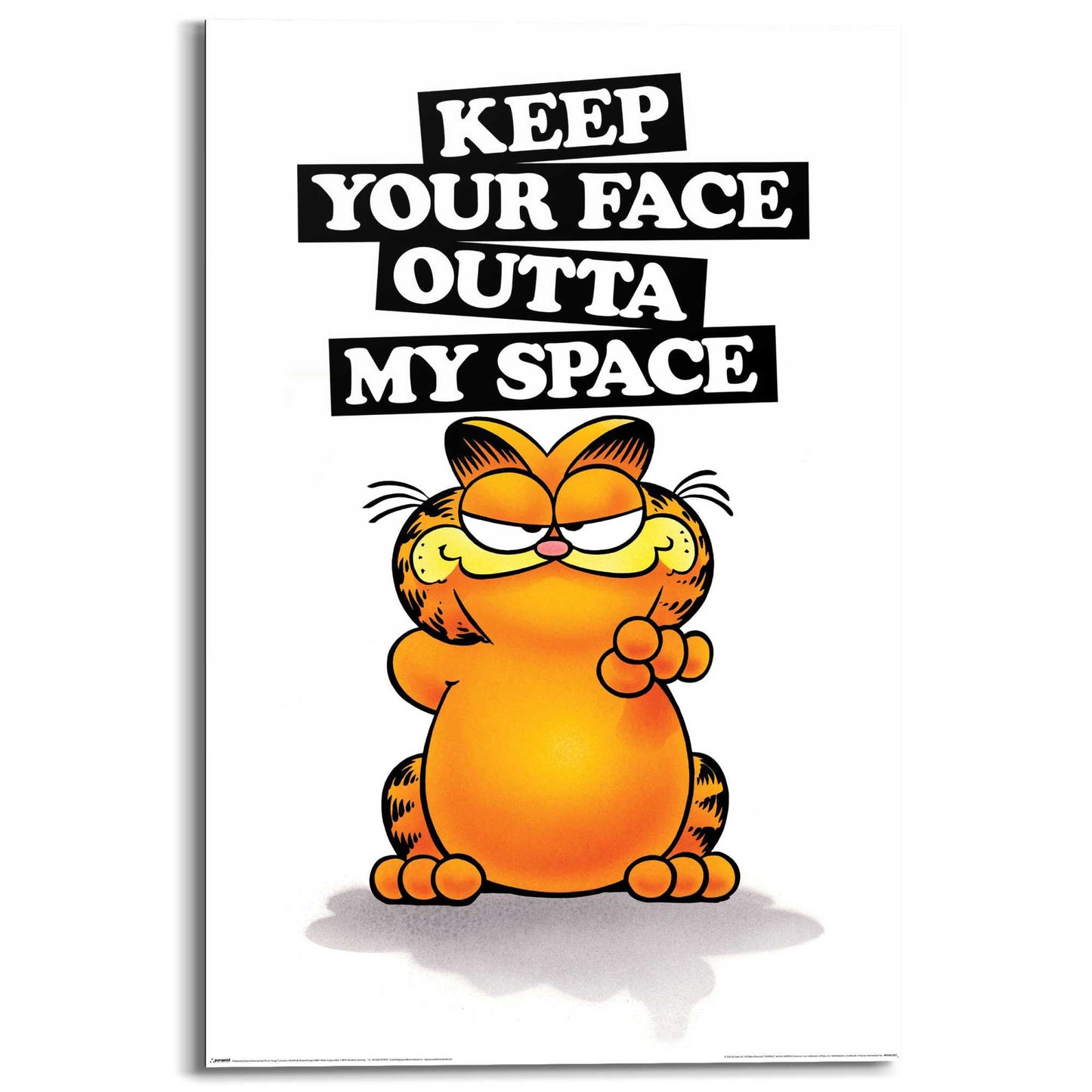 Wall Art Panel Garfield - keep your face 90x60