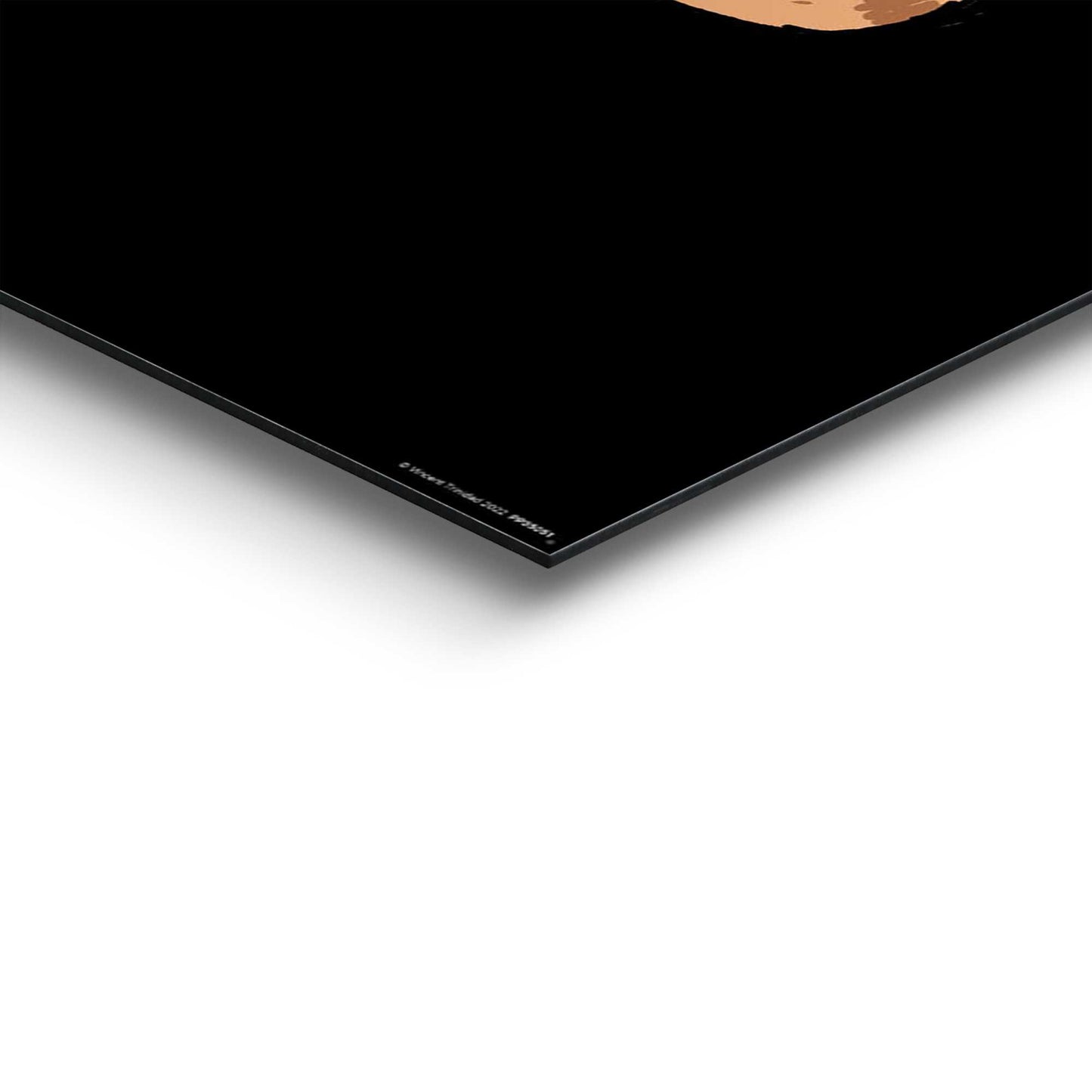 Wall Art Panel Vincent Trinidad - catana 90x60