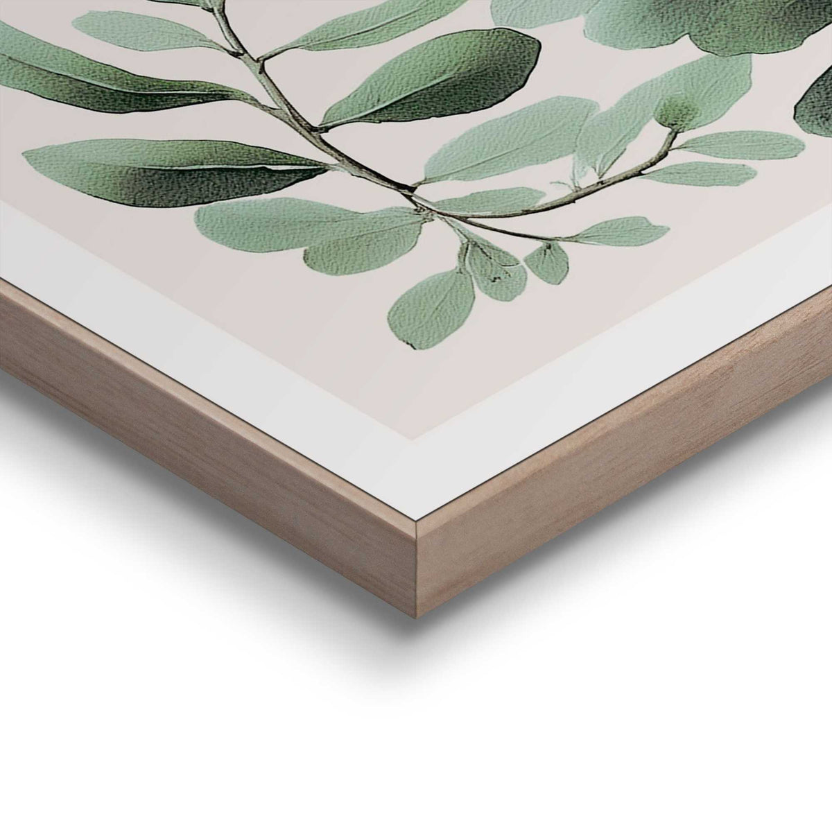 Framed Poster Botanic Serenity 50x40