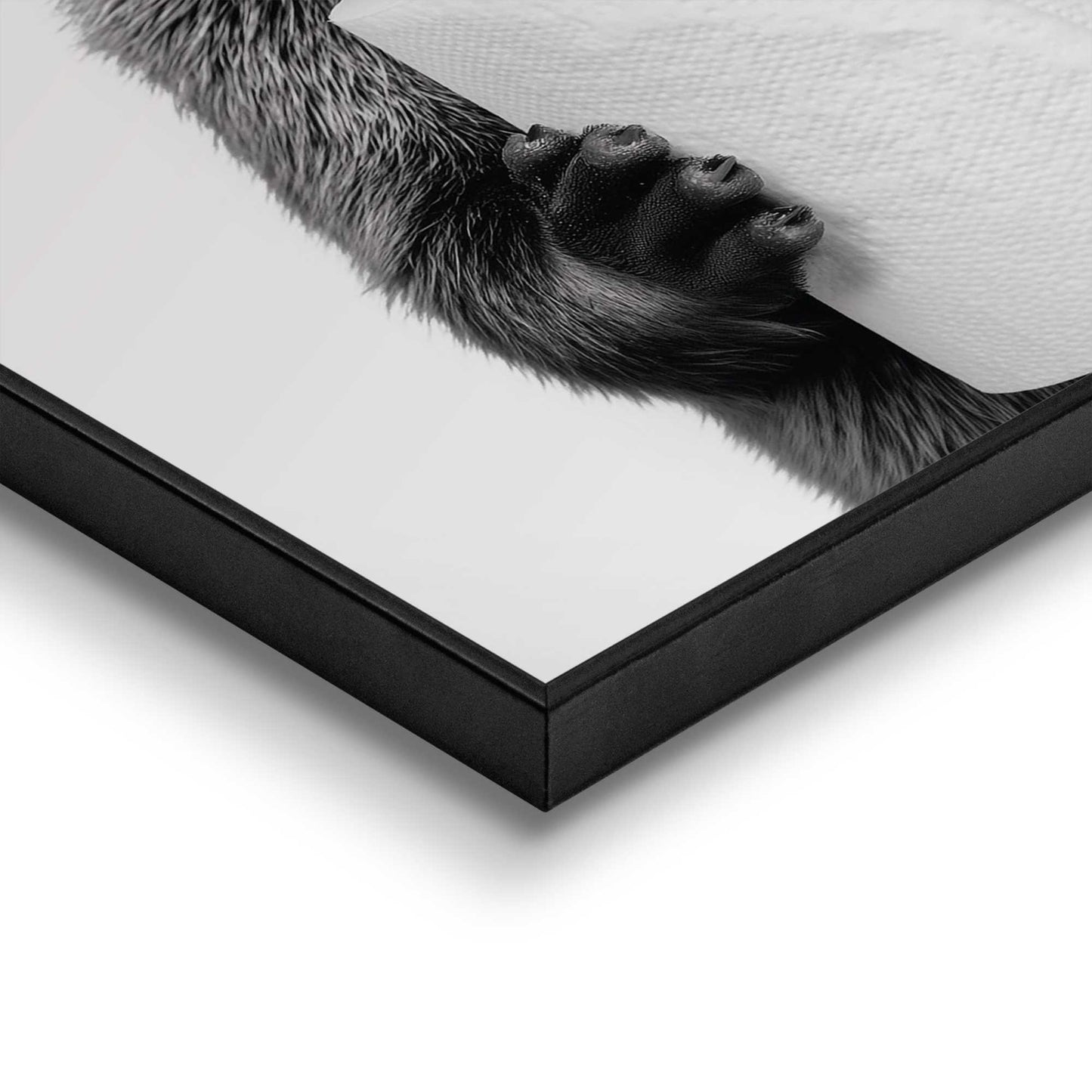 Framed Poster Otter brings toilet paper 50x40