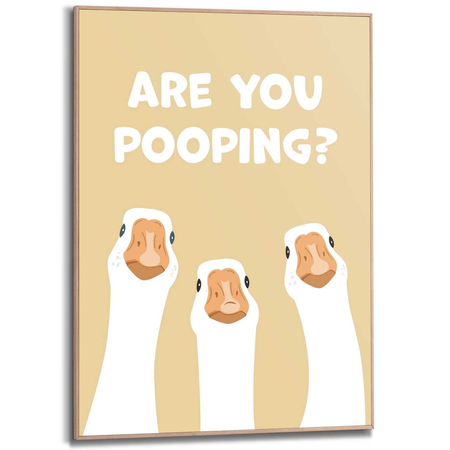 Framed Poster Nosy geese 70x50