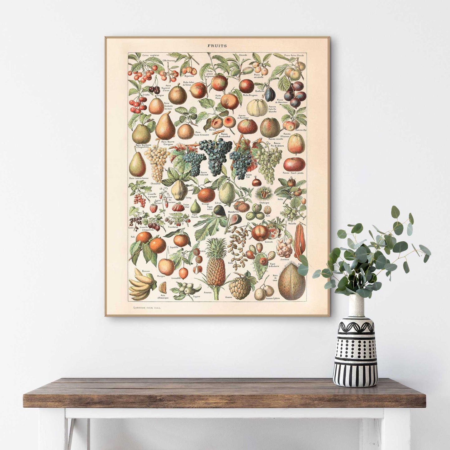 Framed Poster All the fruits 50x40