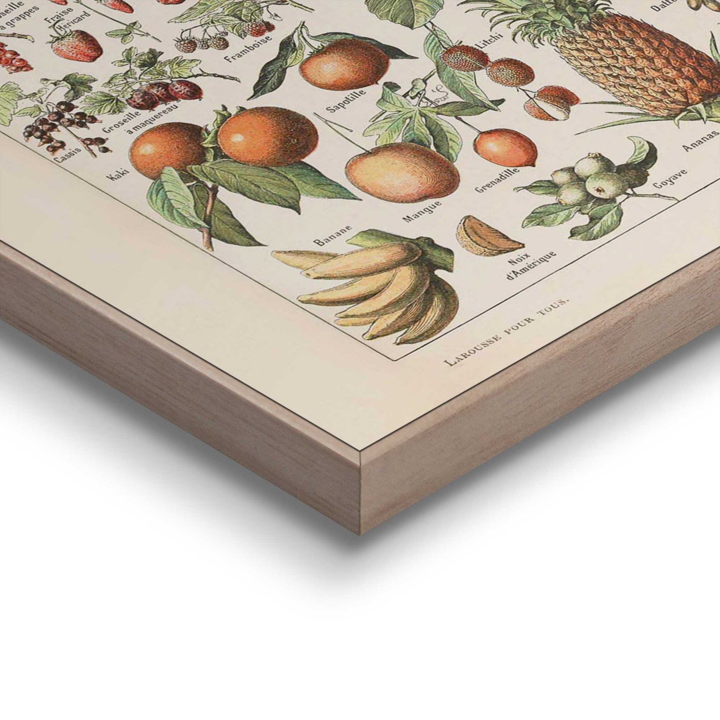 Framed Poster All the fruits 50x40