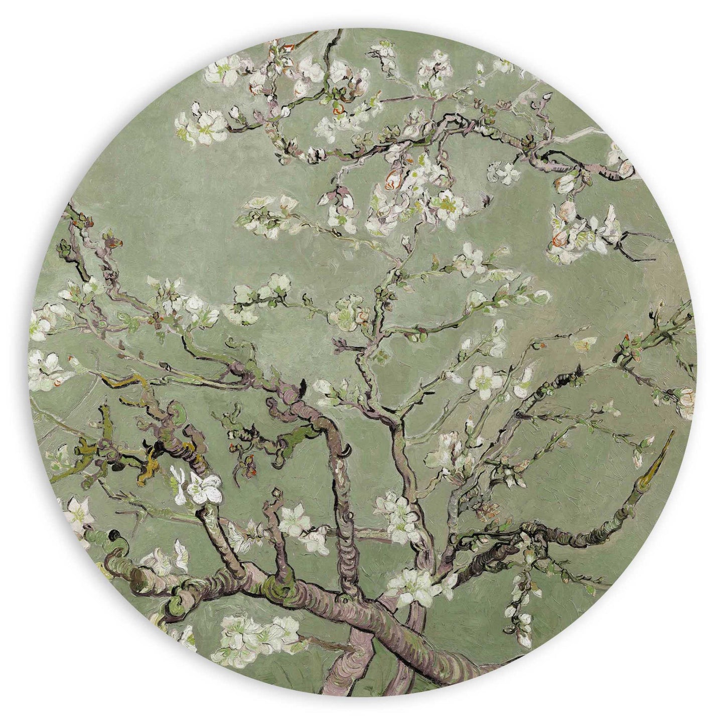 Circle Art Almondblossom green by Van Gogh 50x50