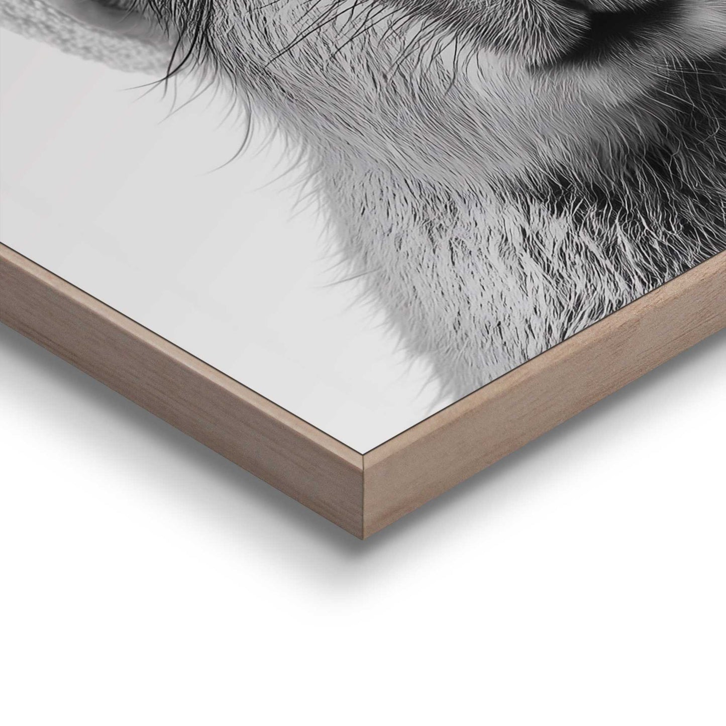 Framed Poster Fresh capybara 50x40