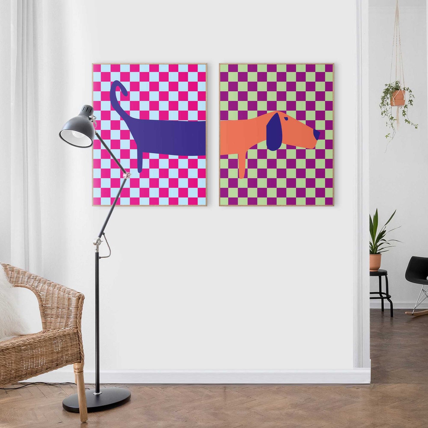 Framed Poster Multicolour split dachshund 50x40