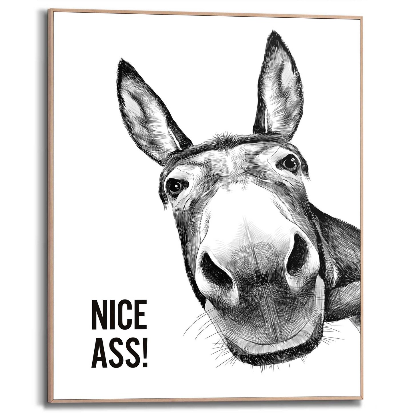 Framed Poster Cheeky donkey 50x40