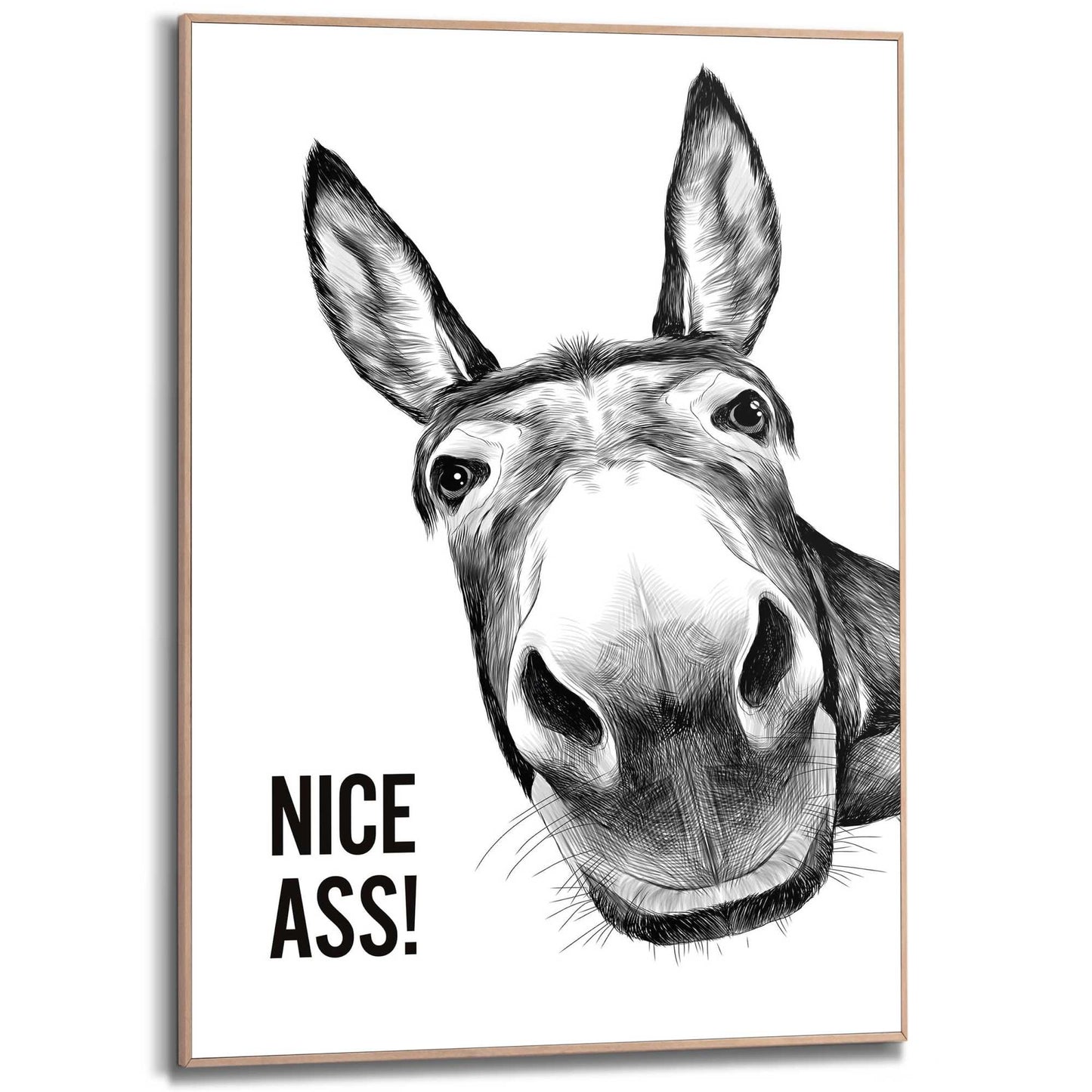 Framed Poster Cheeky donkey 70x50