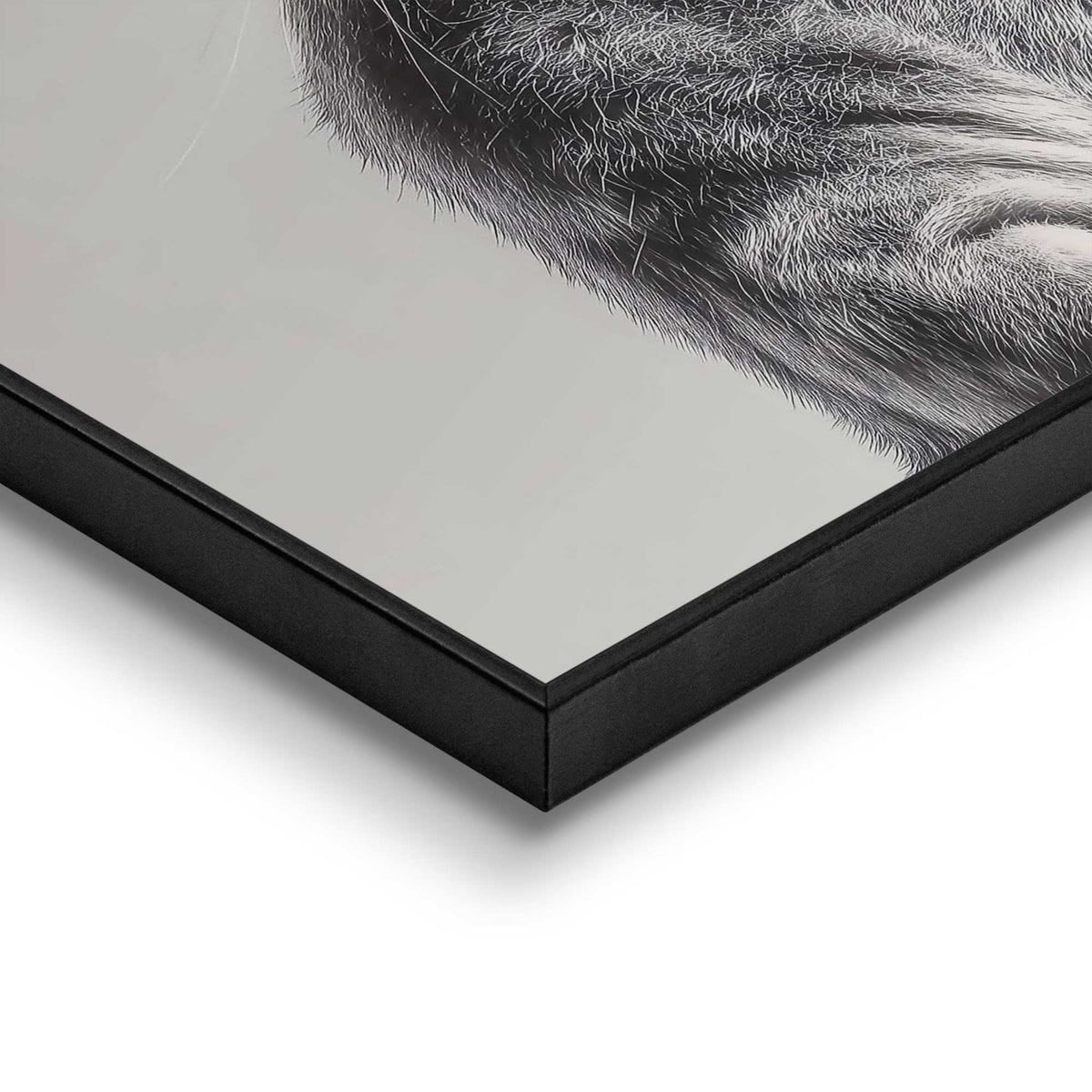 Framed Poster The Gentle Rabbit 50x40
