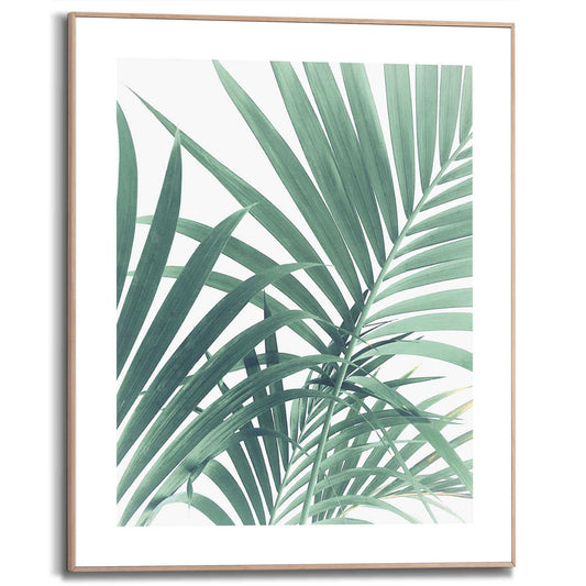 Framed in Wood Palm Tree Leaf