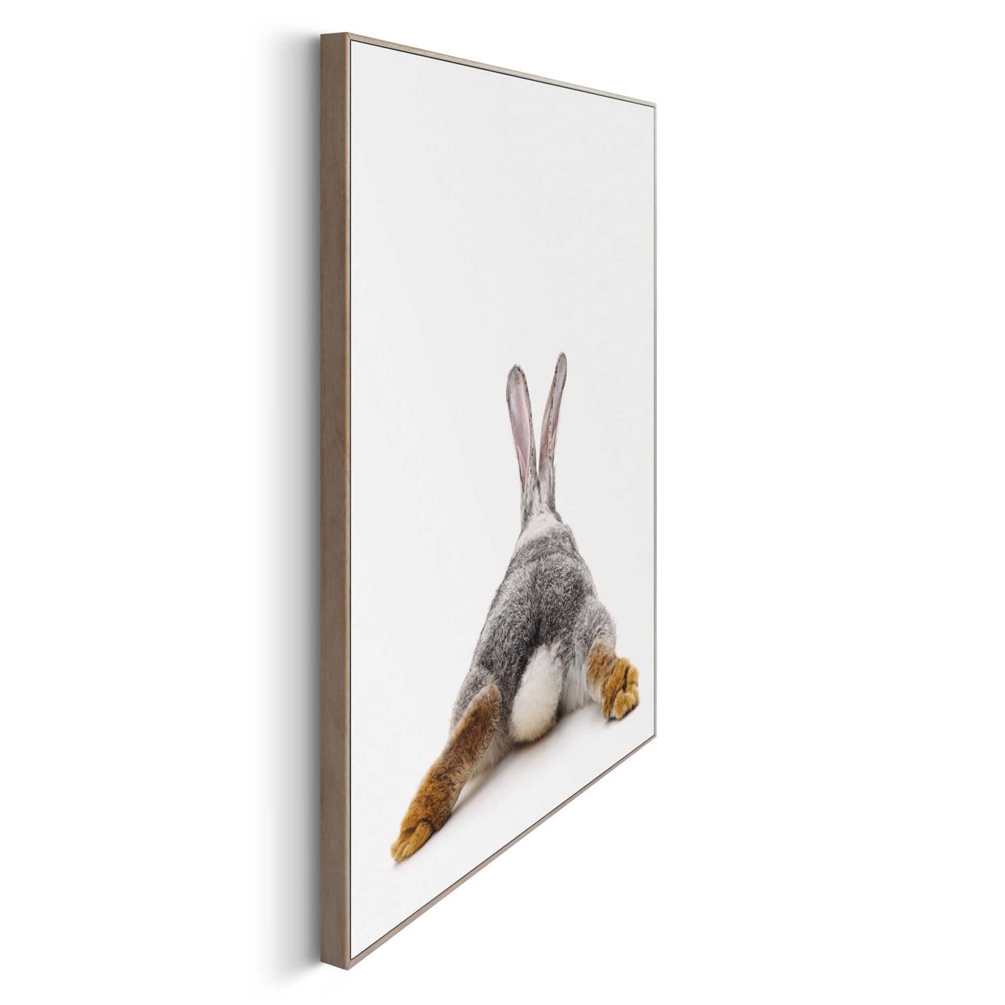 Framed in Wood Rabbit