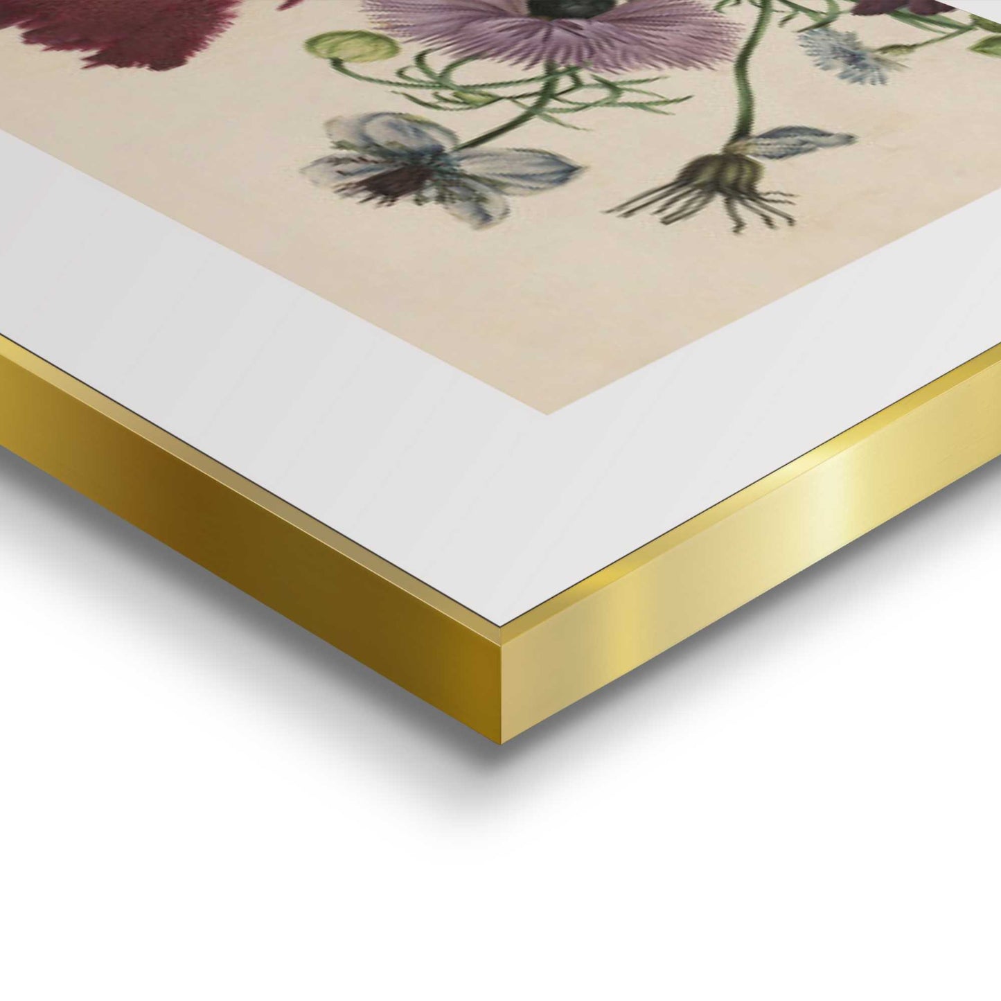 Framed in Gold Favourite Flowers