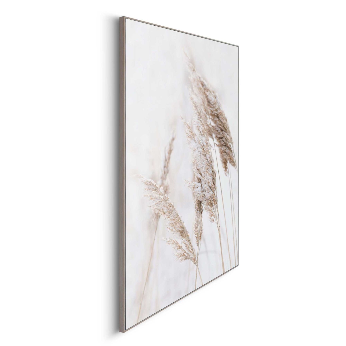 Framed in Wood Nature Grass