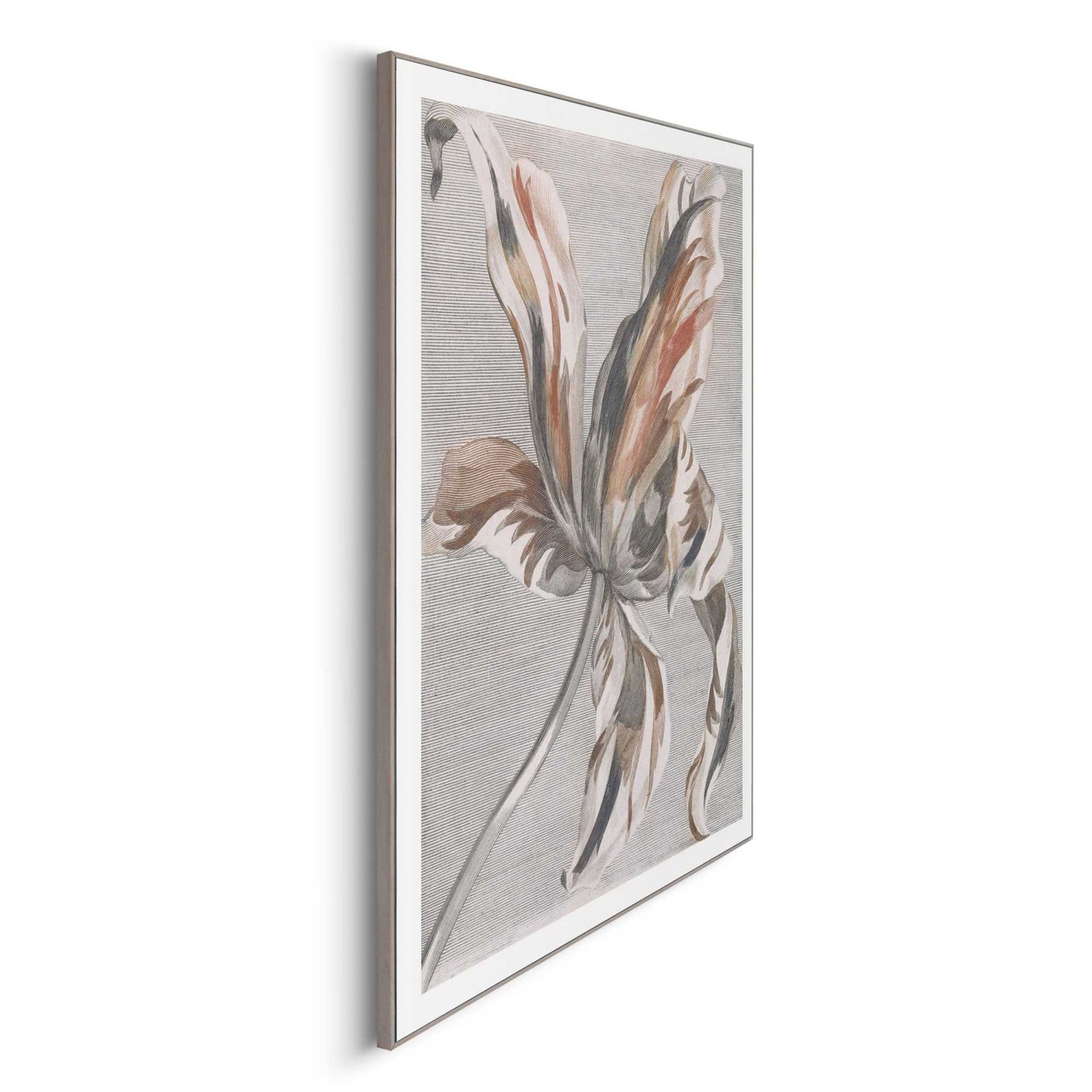 Framed in Wood Painted Tulip