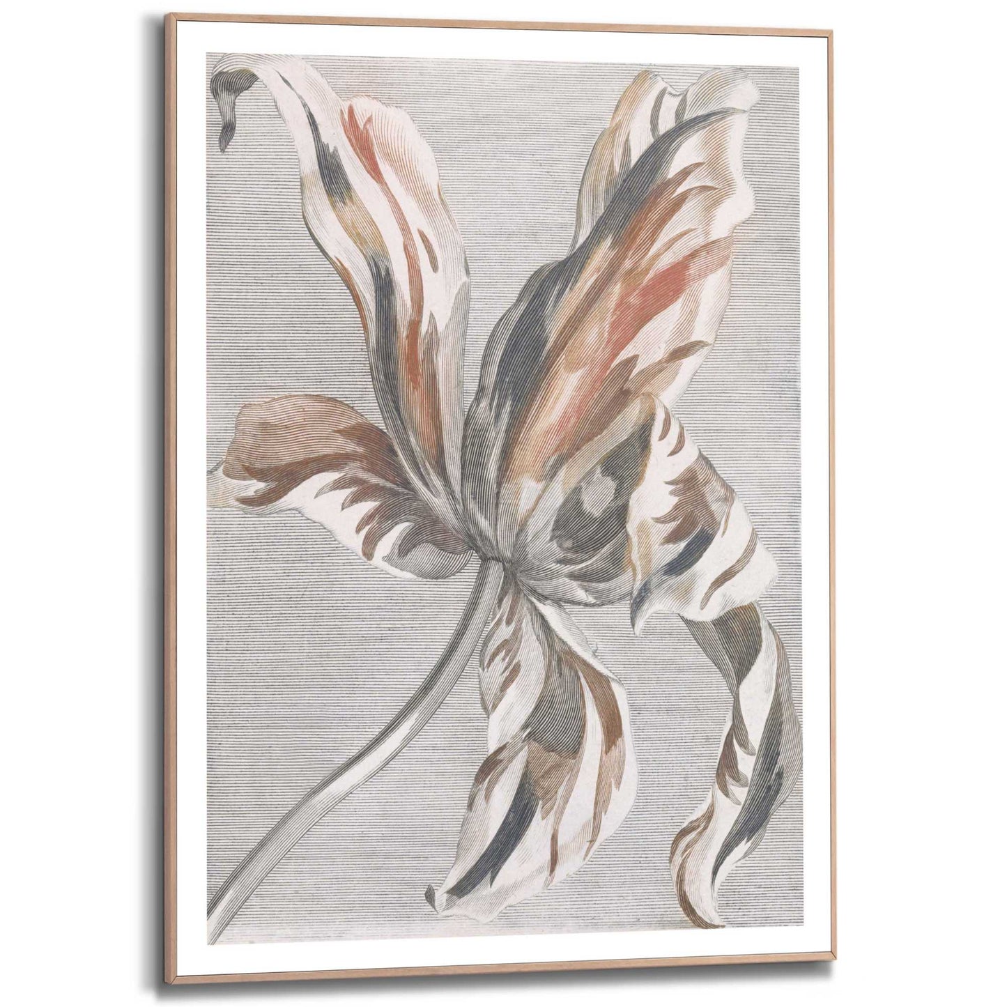 Framed in Wood Painted Tulip
