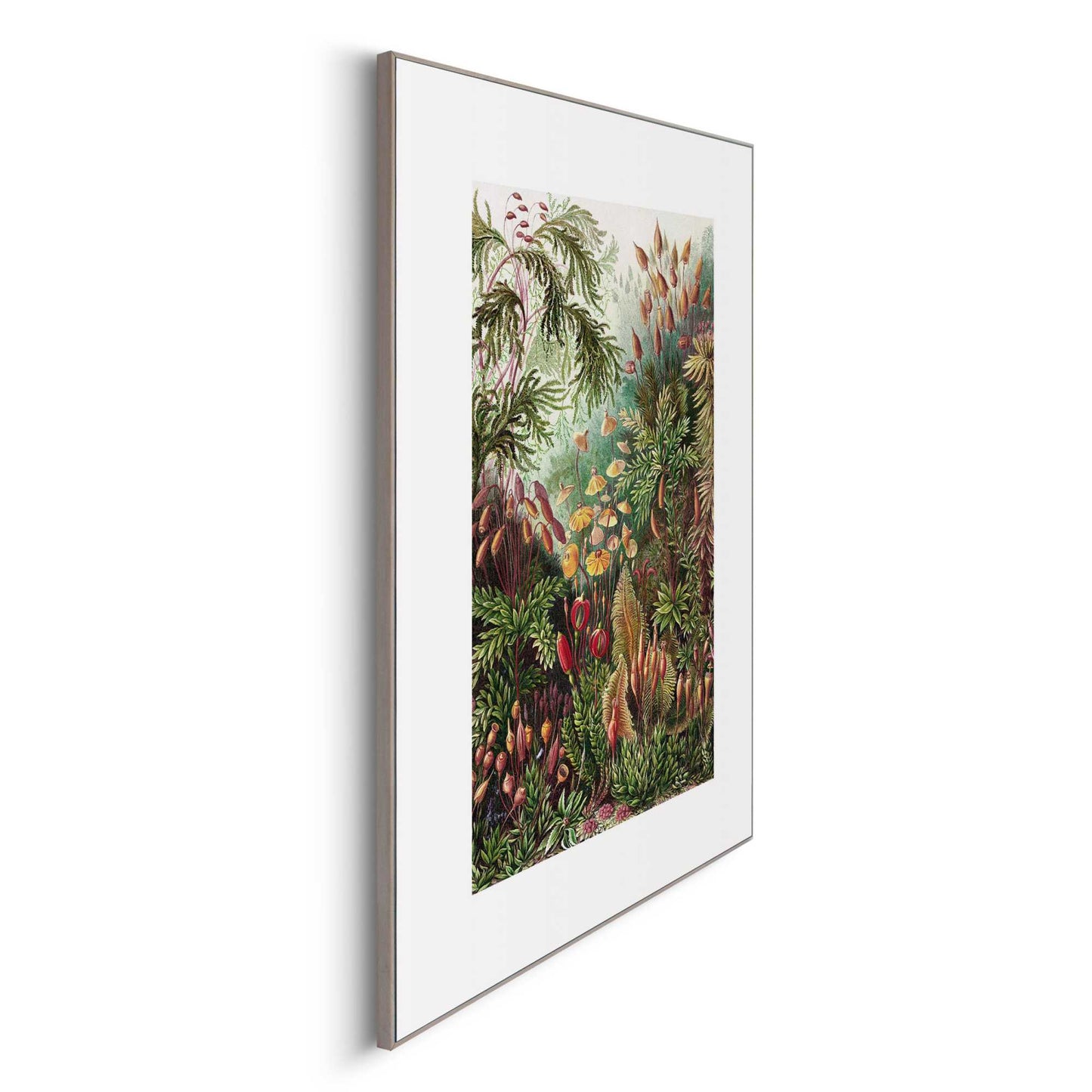 Framed in Wood Under The Sea