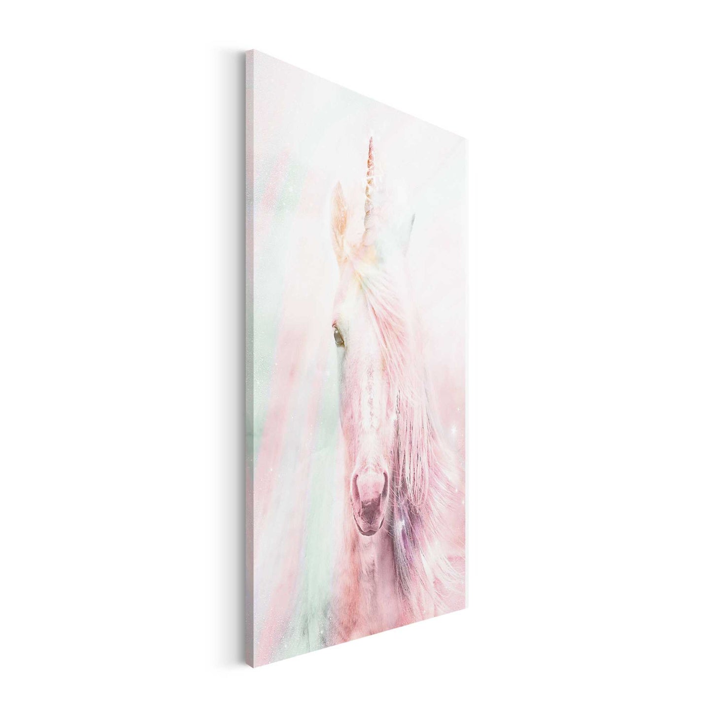 Canvas Unicorn Disco