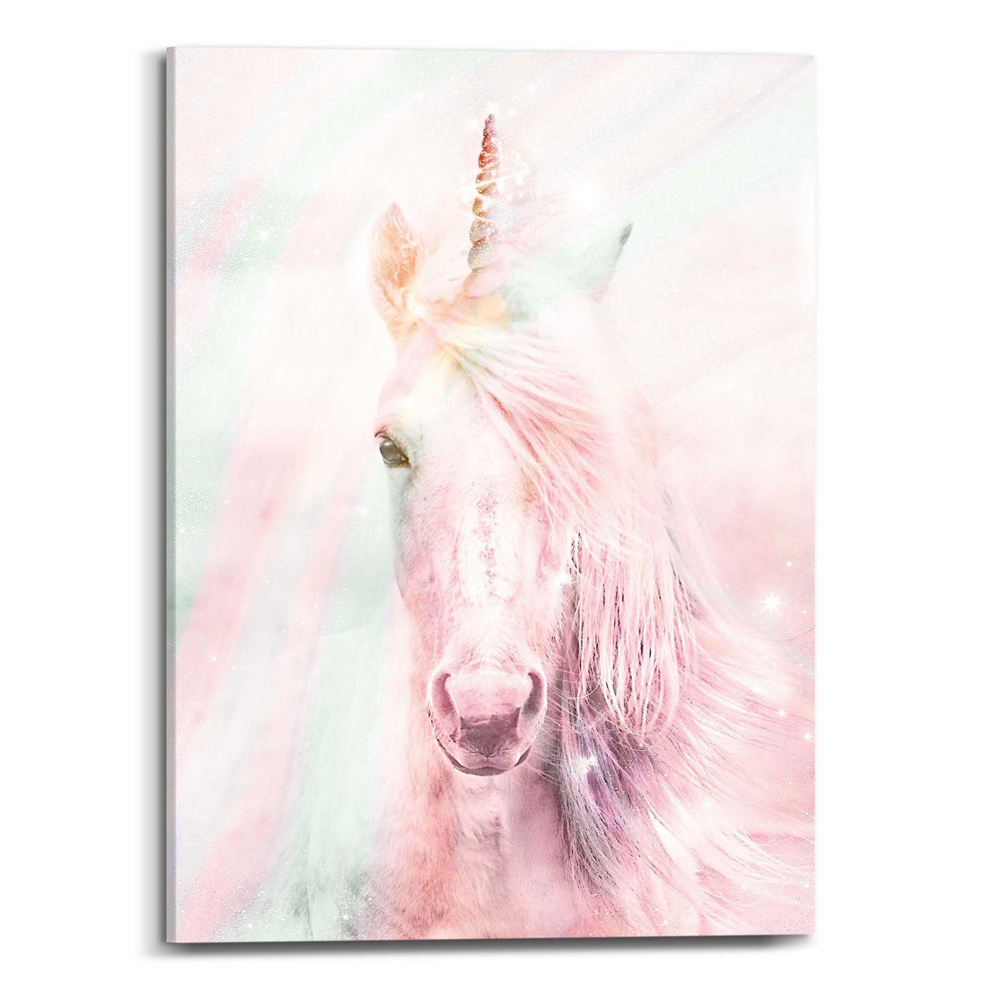 Canvas Unicorn Disco