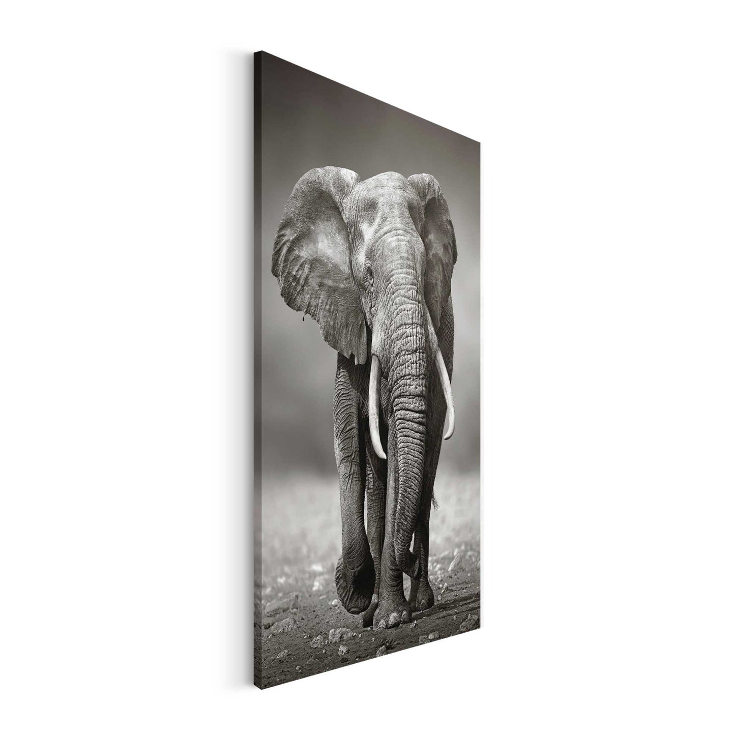 Canvas King of Wildlife