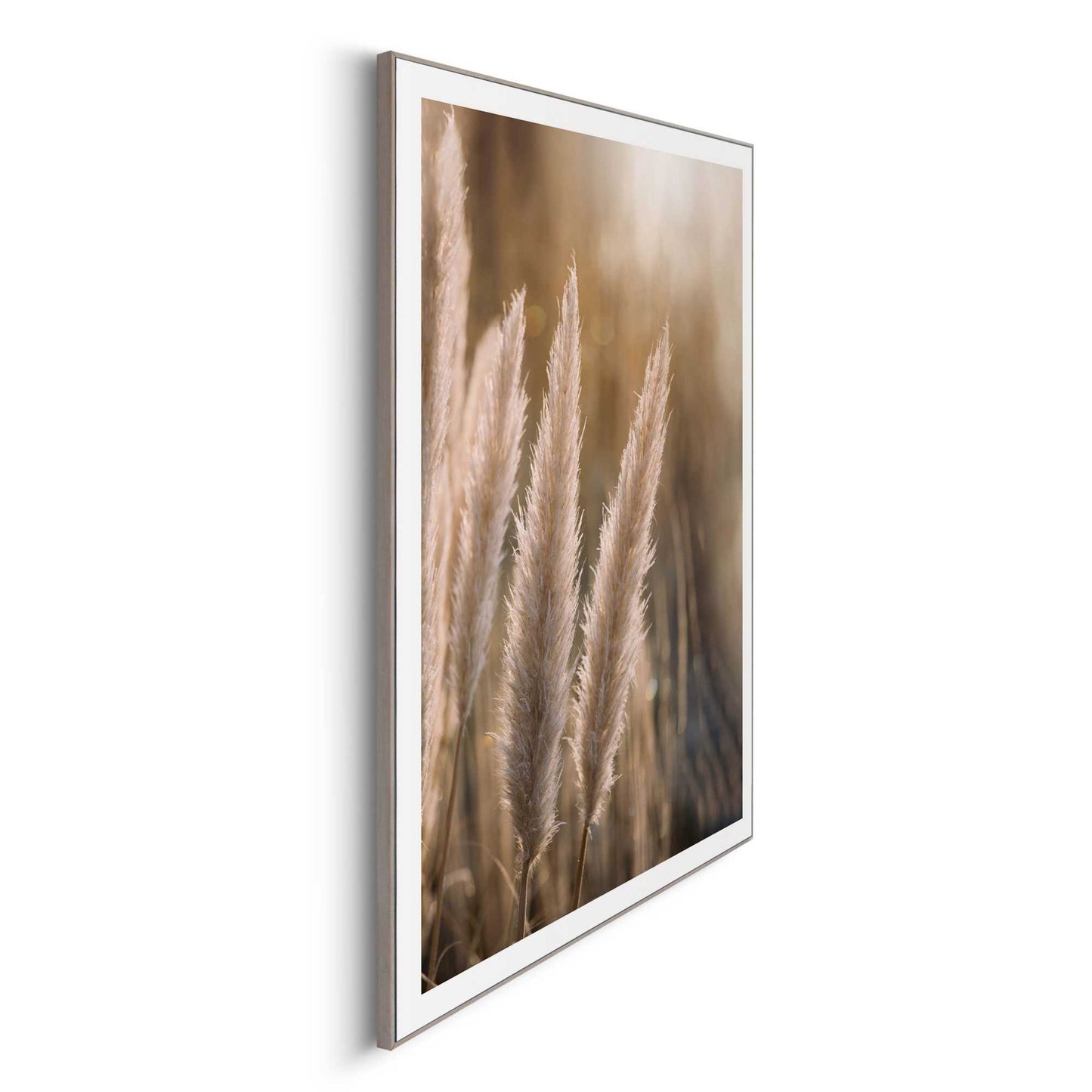 Framed in Wood Evening Grass