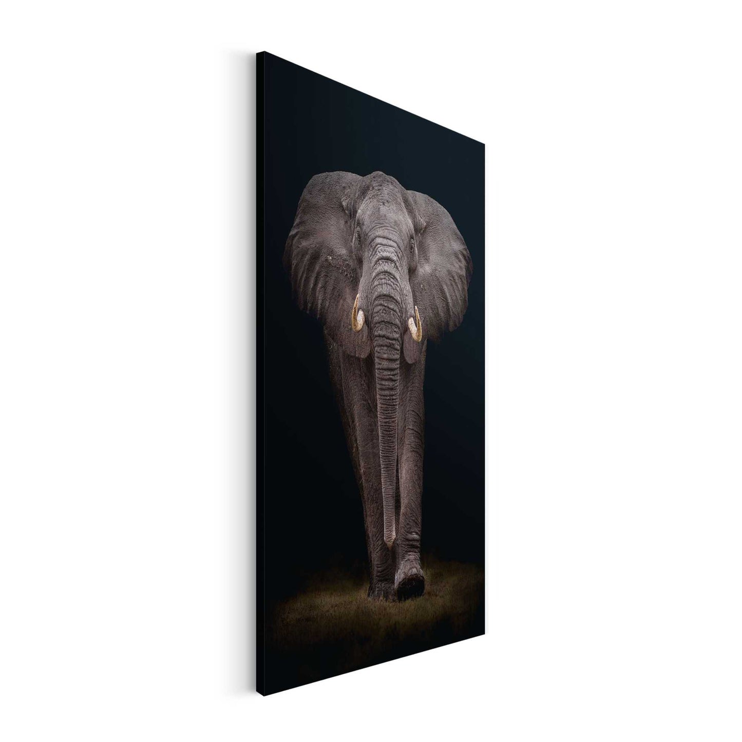 Canvas Dark Elephant