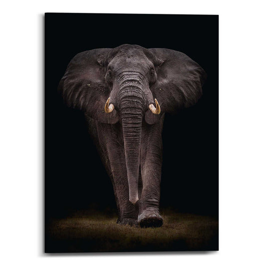 Canvas Dark Elephant