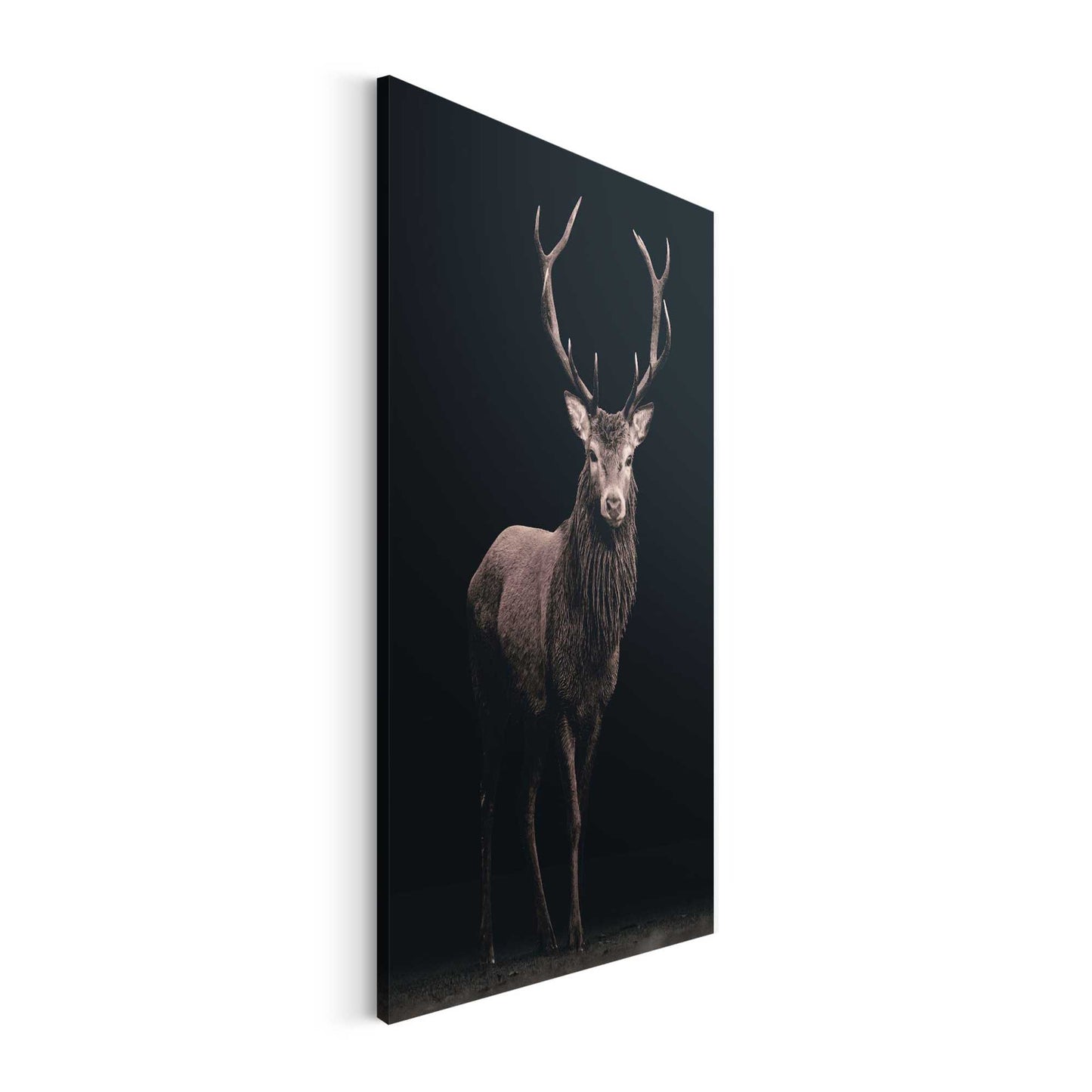 Canvas Dark Deer