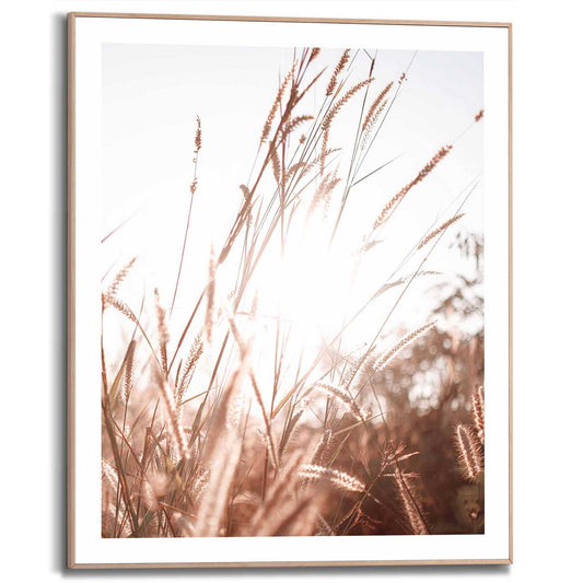 Framed in Wood Sunlight Grasses