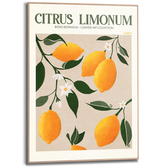 Framed Poster Citrus Branch 70x50