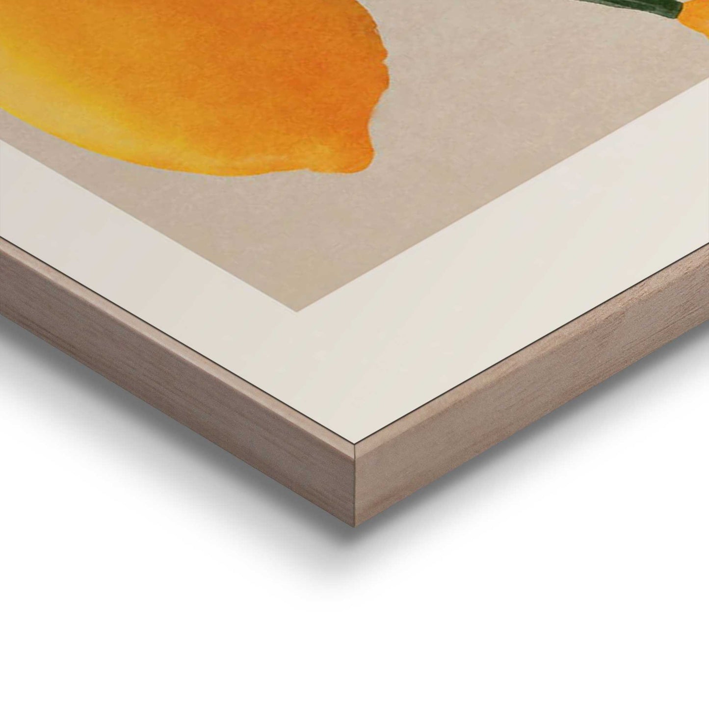 Framed Poster Citrus Branch 70x50