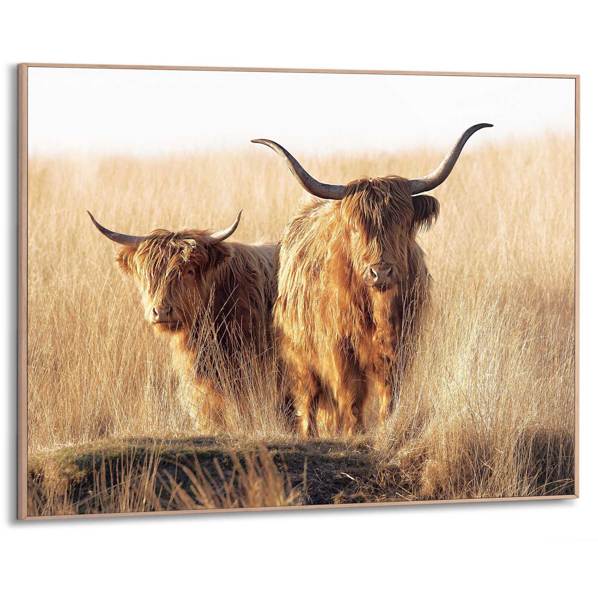 Framed Poster Golden Highlands 50x70