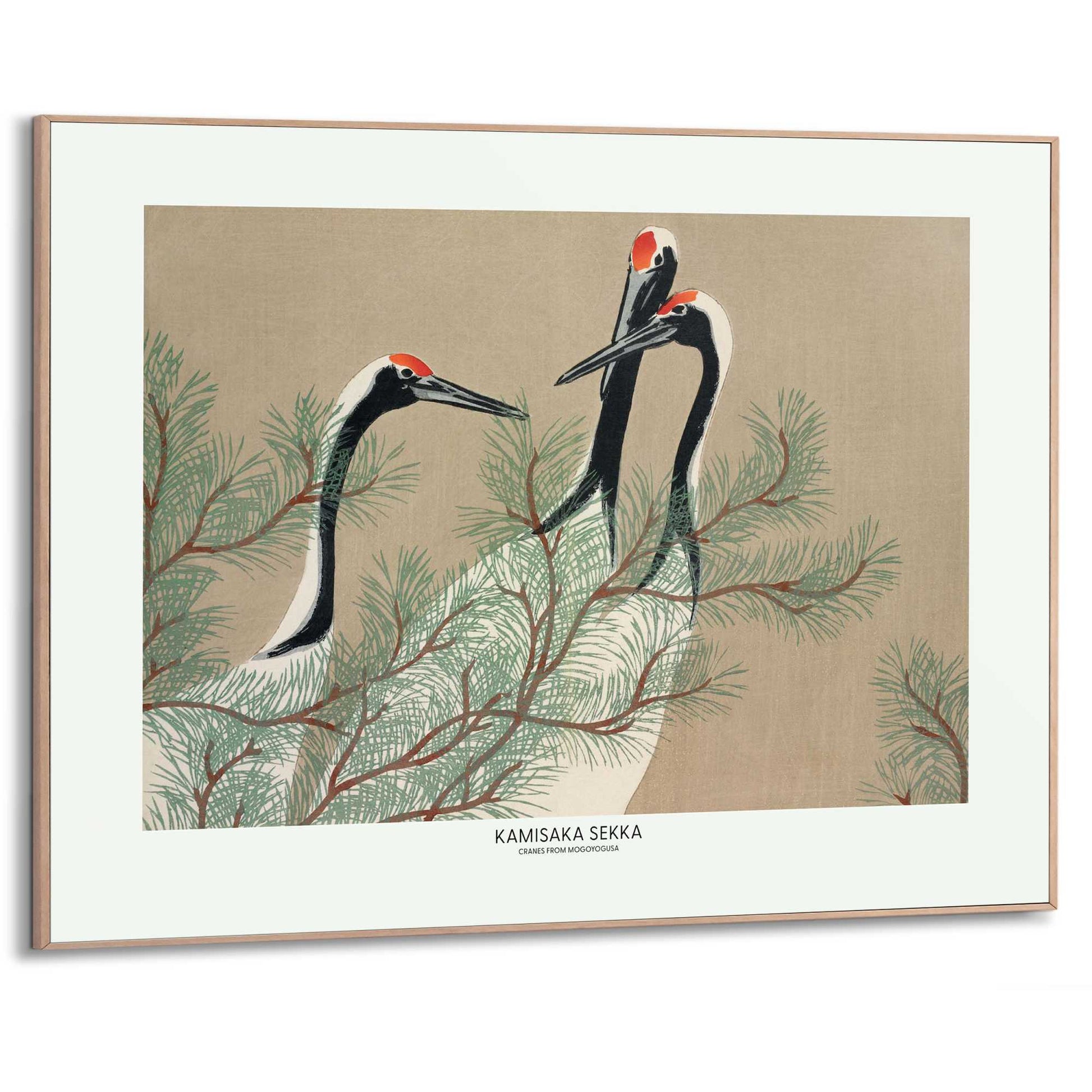 Framed Poster Kamisaka Sekka - Cranes from Momoyogusa 50x70
