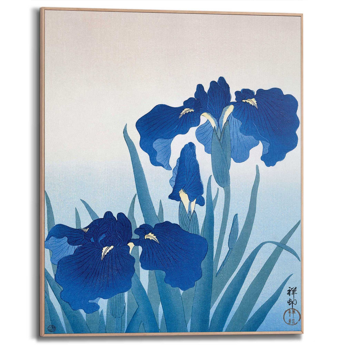 Framed Poster Blue Iris 50x40