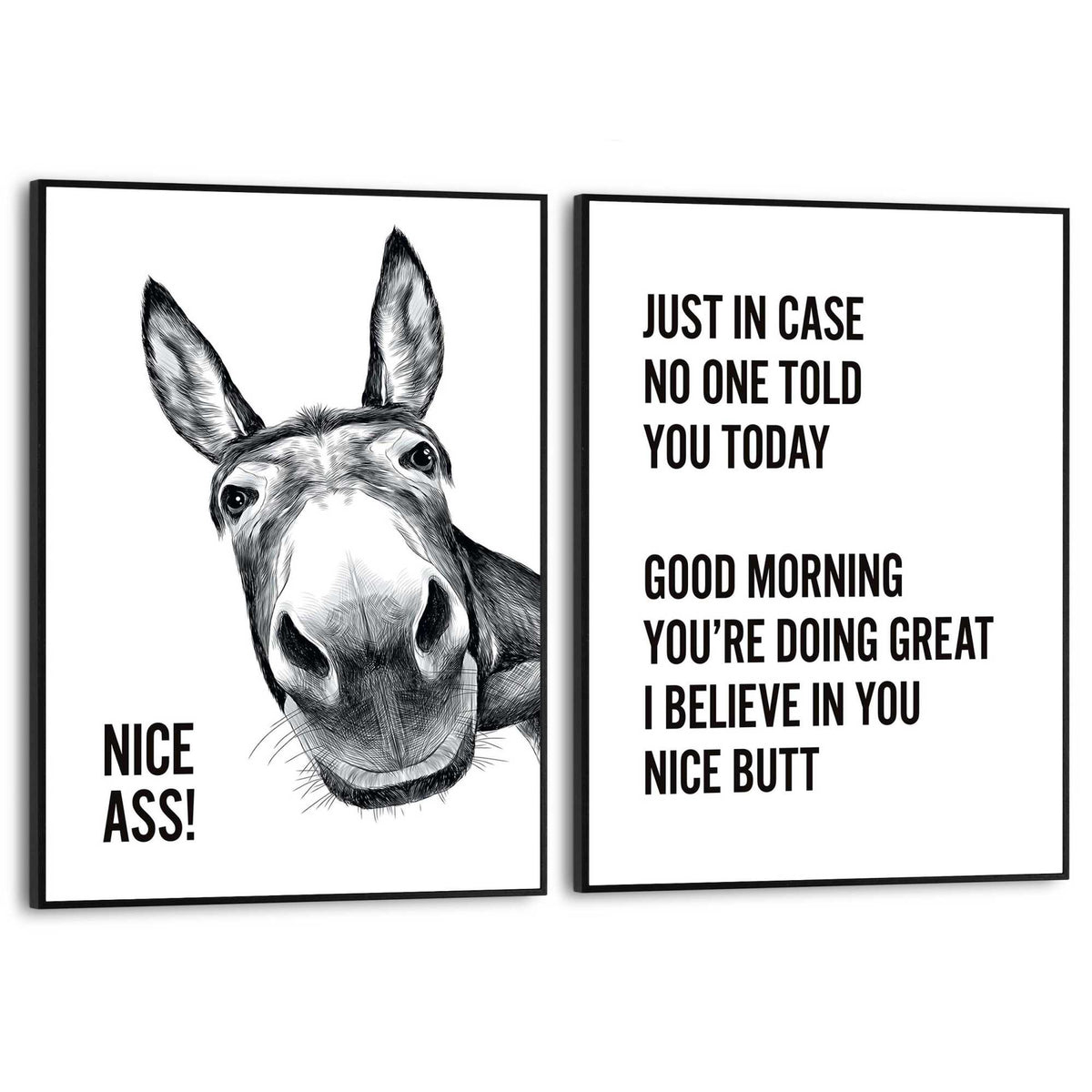 Framed Poster Morning Donkey 40x30