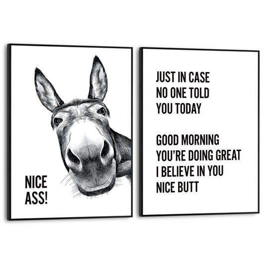 Framed Poster Morning Donkey 40x30