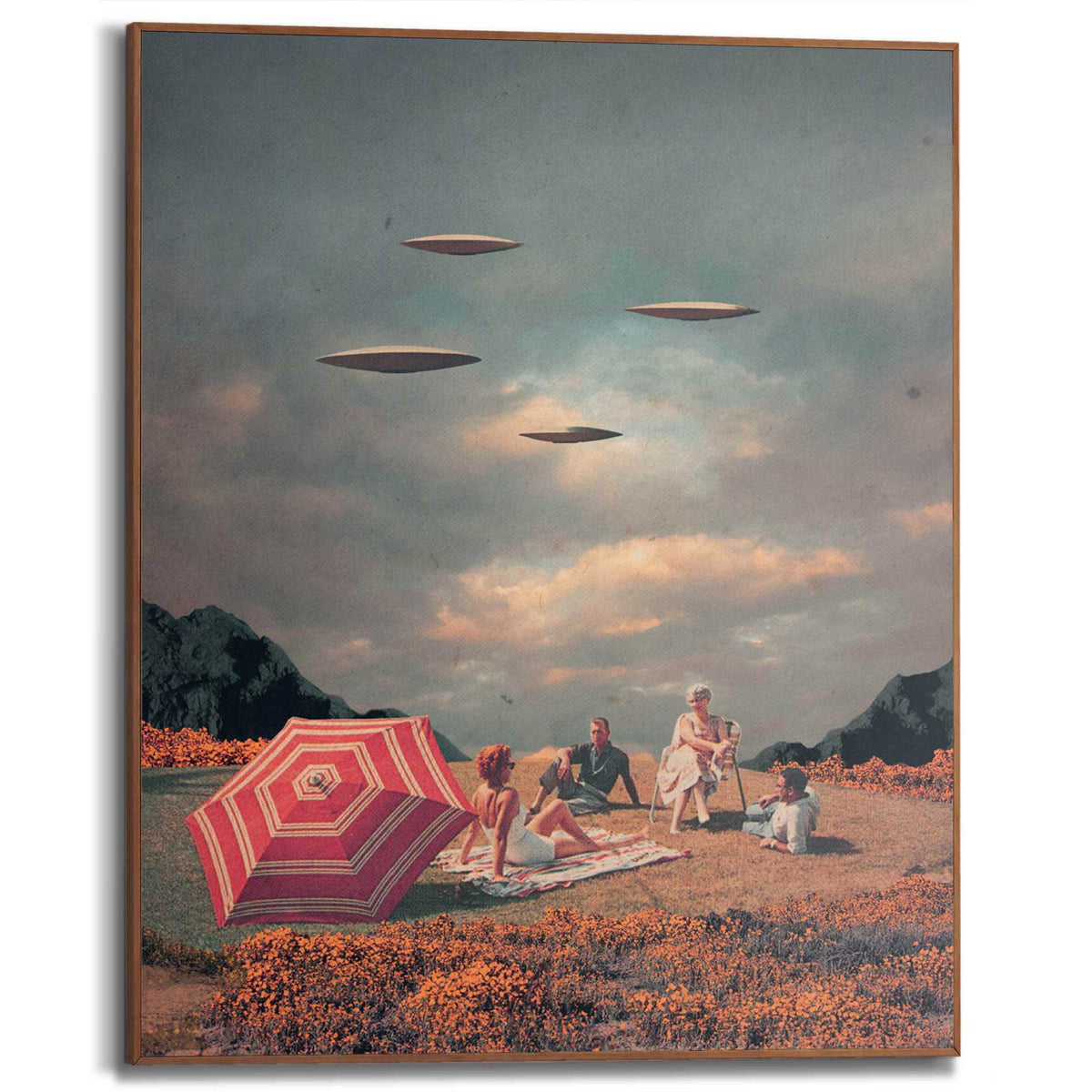Framed Poster UFO Picnic 50x40