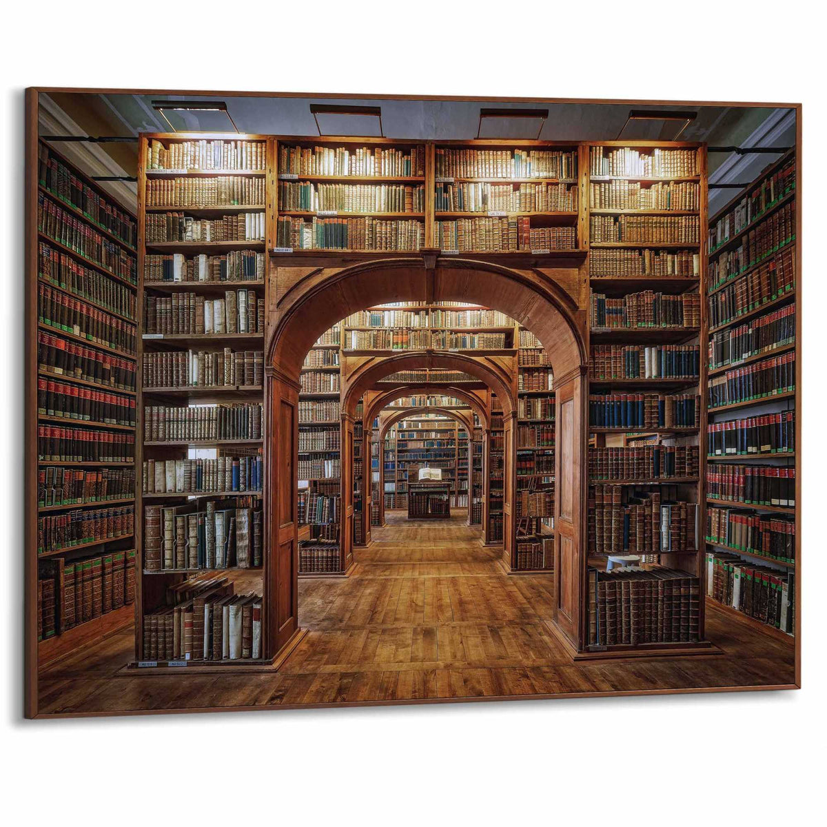 Framed Poster Grand Library 50x70