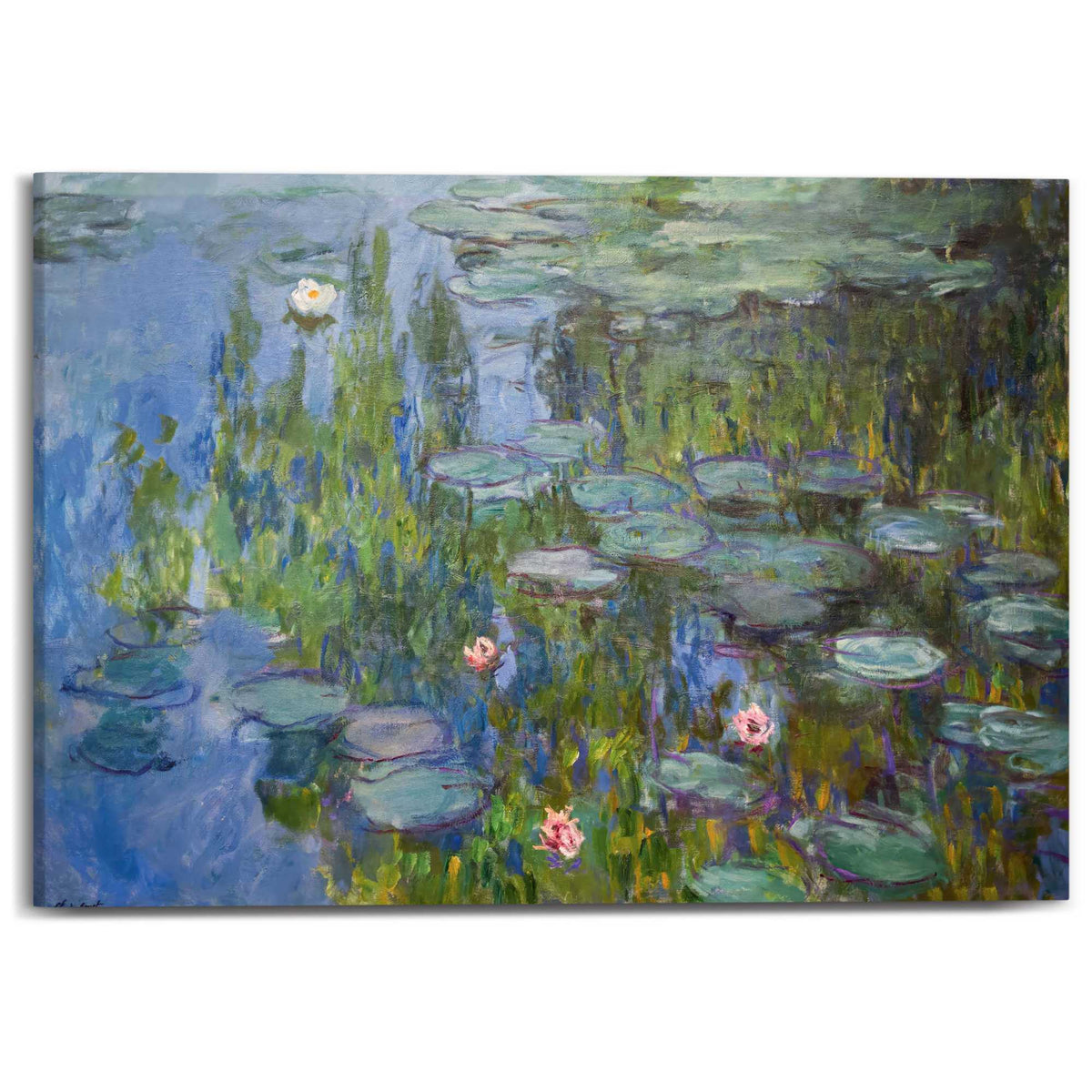 Canvas Claude Monet - Water Lilies 1915 50x70