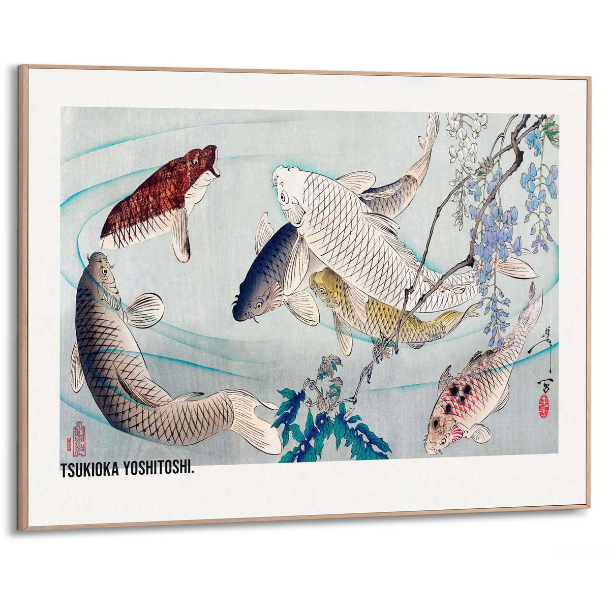 Framed Poster Tsukioka Yoshitoshi - Six Carp Swimming Beneath Wisteria (1889) 50x70