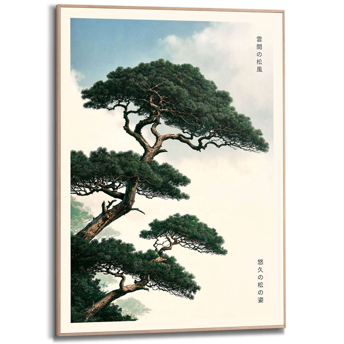 Framed Poster Japanese Pine Trees 70x50