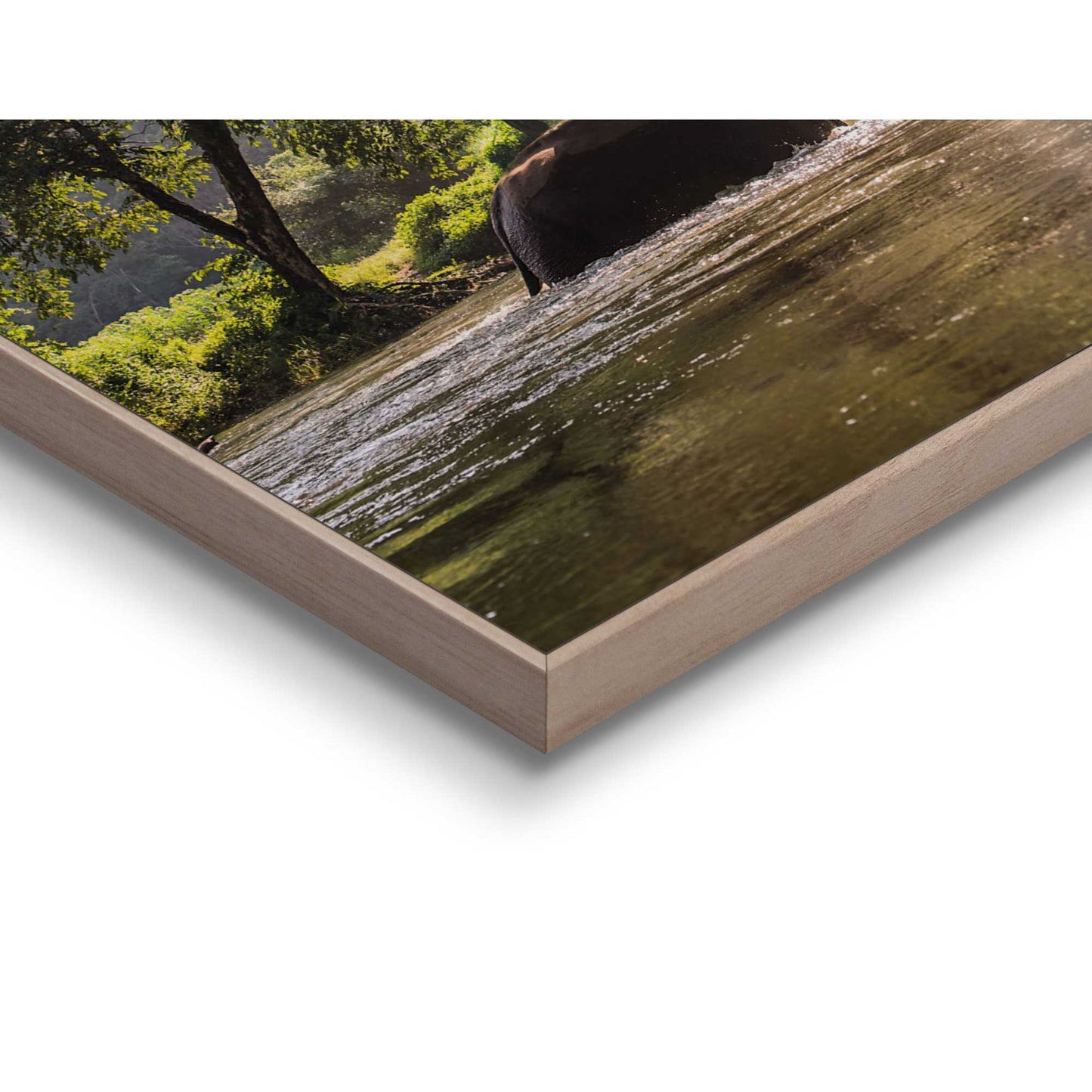 Framed in Wood Pure Nature Set I - Framed in Wood Set 6pcs 50x40