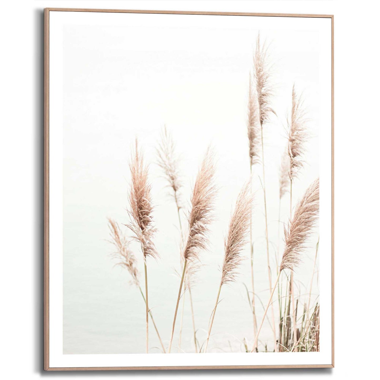 Framed Poster Sea Reed 50x40