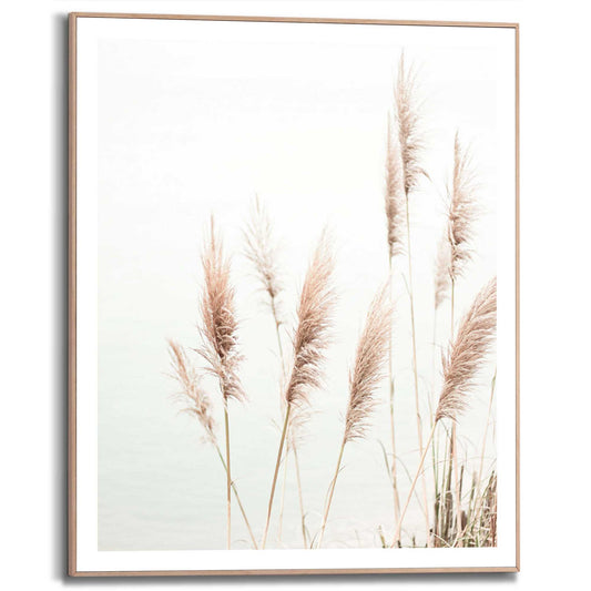 Framed Poster Sea Reed 50x40