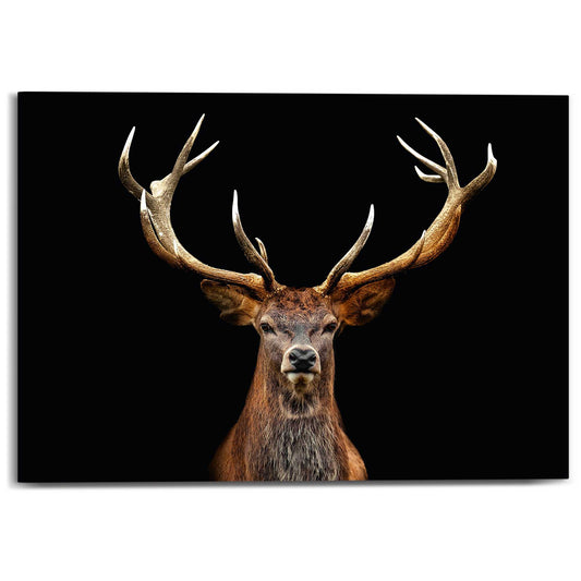 Canvas Deer in the Dark 50x70