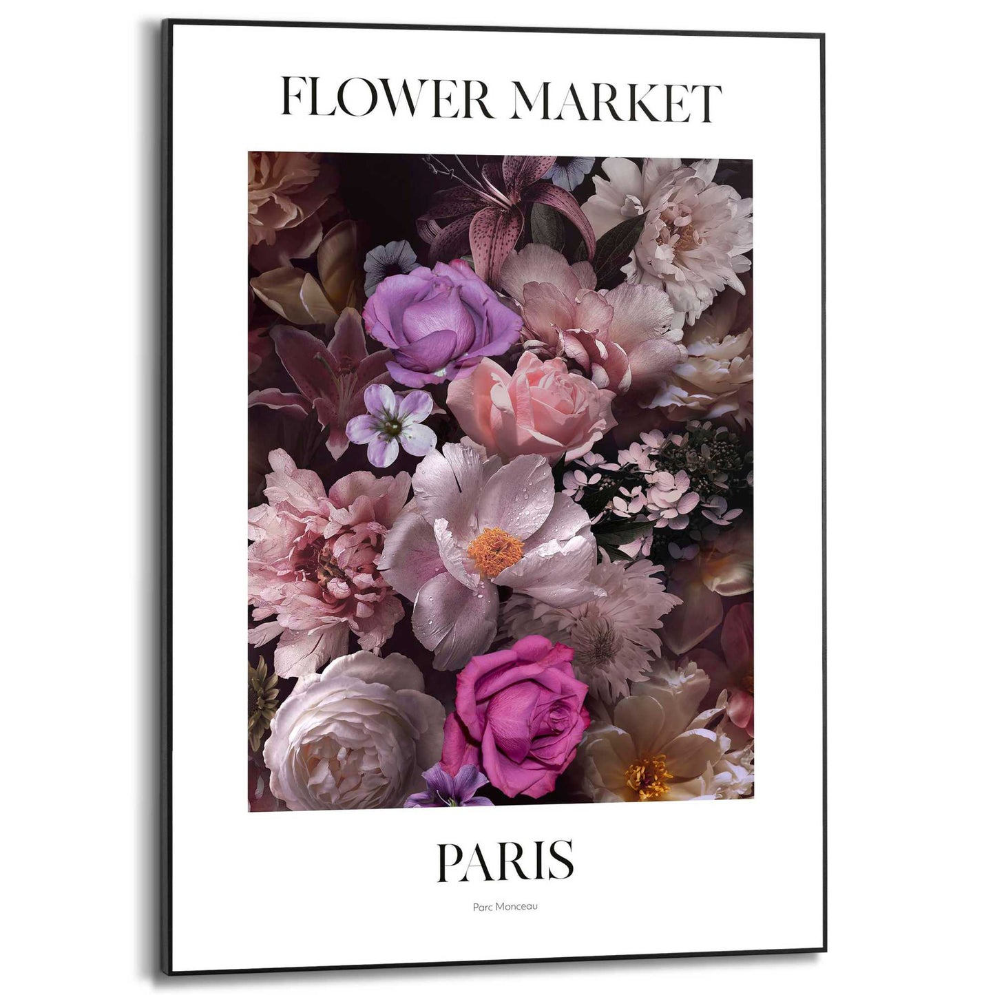 Framed in Black Bed of Roses 70x50