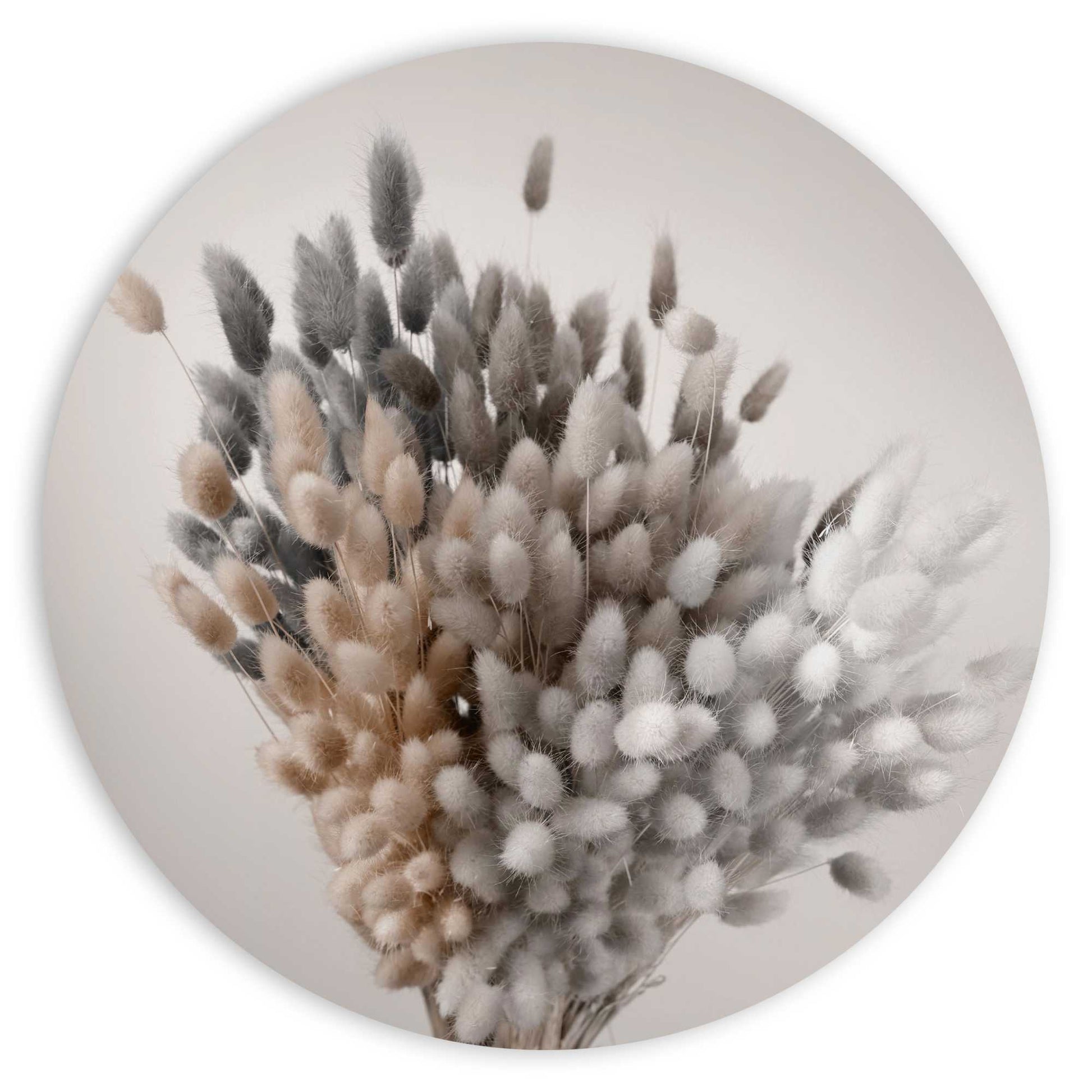Painting Dried Bouquet Grey 80 Rond