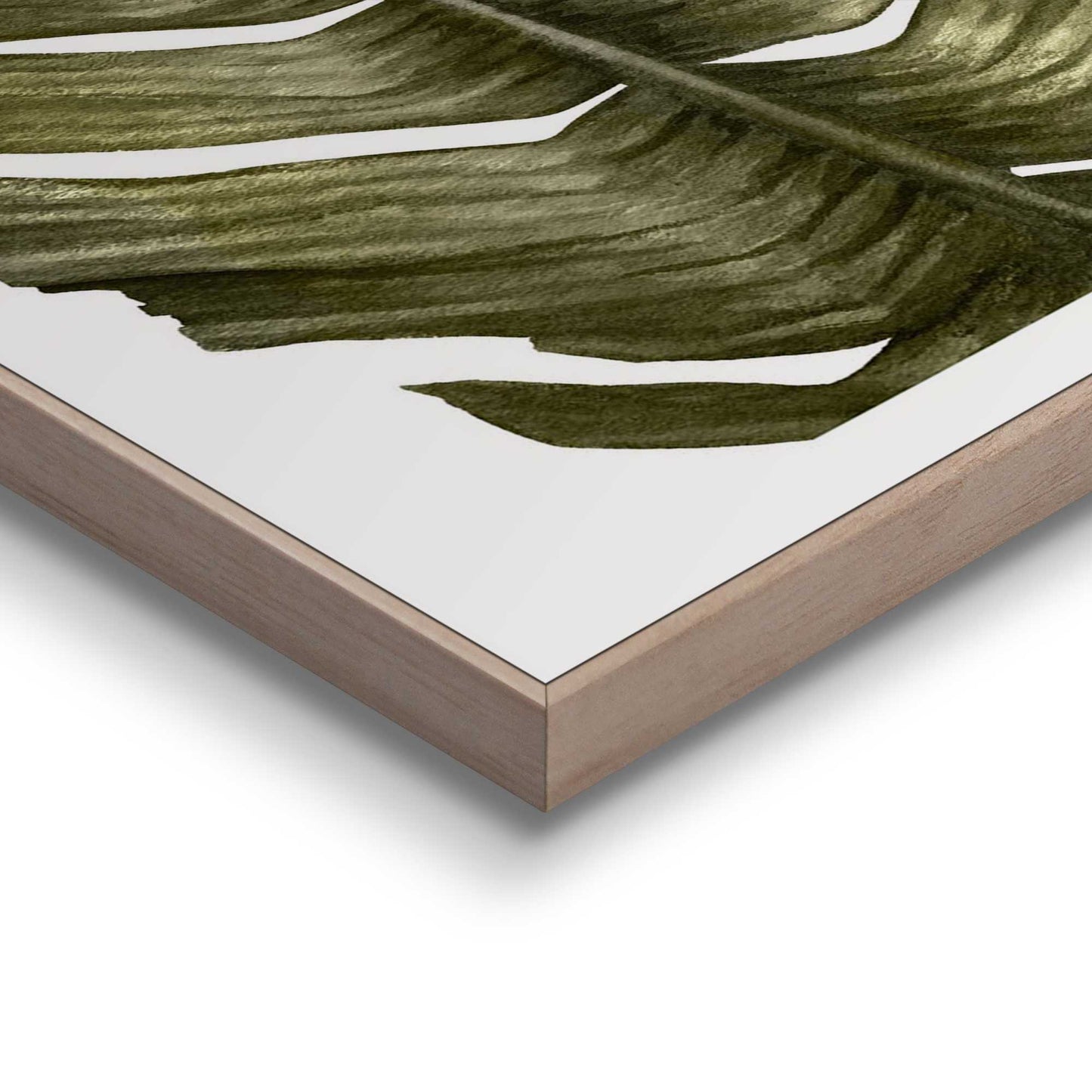 Framed in Wood Botanical Set 70x50