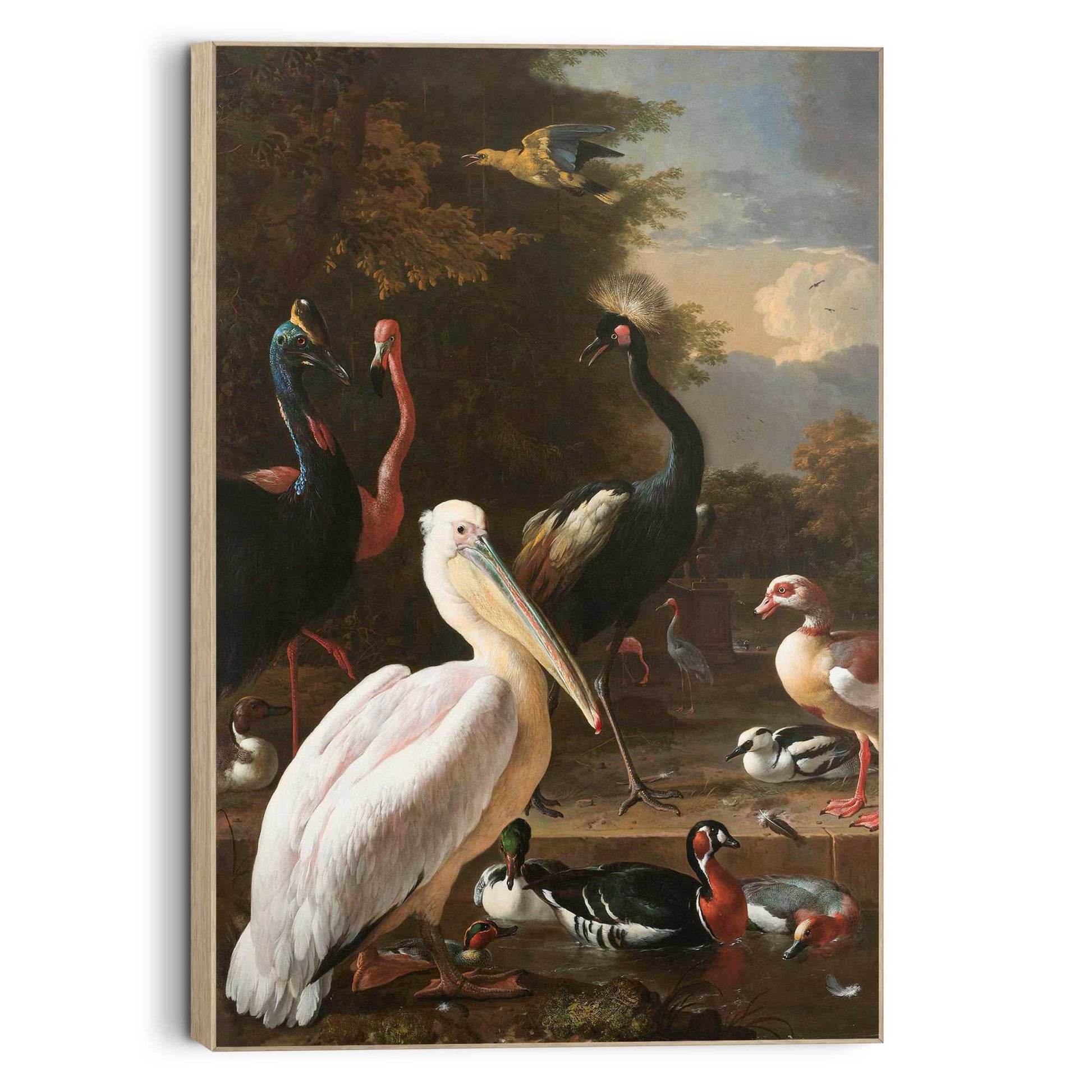 Framed Picture Melchior d'Hondecoeter - pelican 90x60
