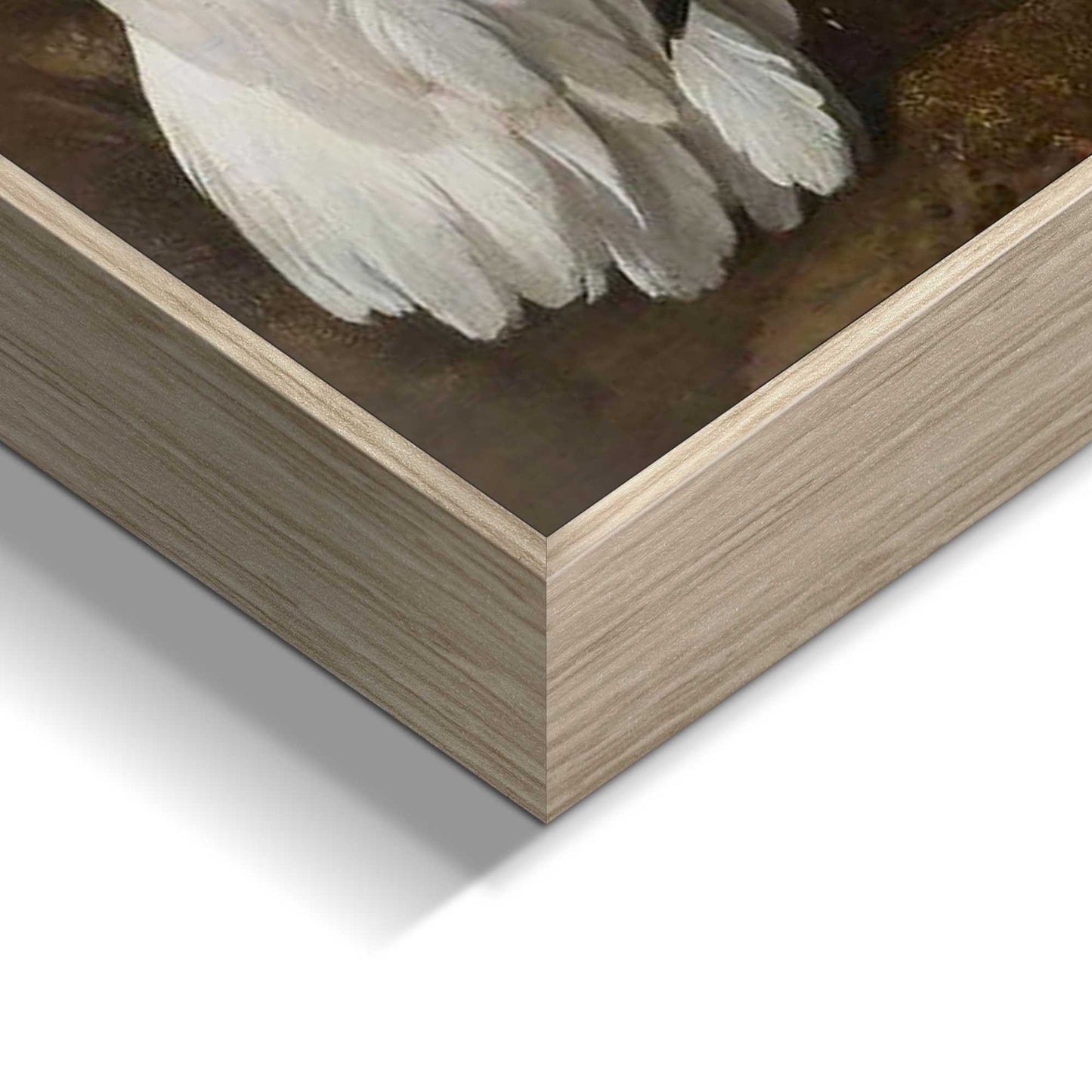 Framed Picture Melchior d'Hondecoeter - pelican 90x60