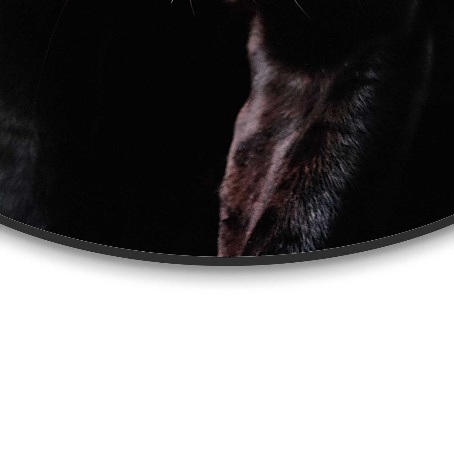 Painting Black Cat 80 Rond